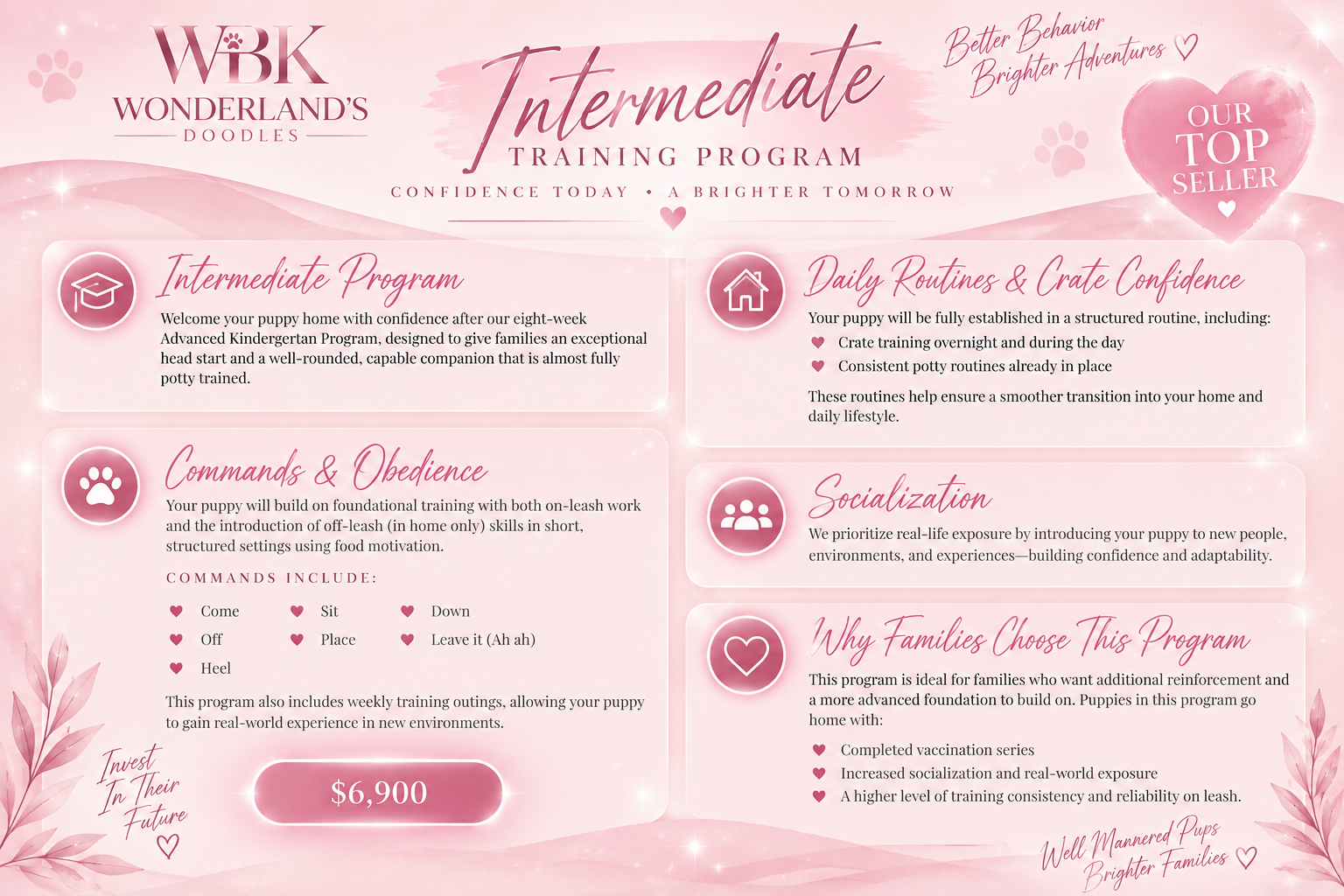 Pink promotional flyer for Wonderland's Doodles' intermediate puppy training program. It features sections on program details, commands and obedience, daily routines, socialization, and reasons to choose the program. The flyer emphasizes confidence, structure, and social exposure for puppies, with a price of $6,900.