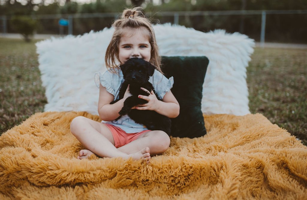 A young girl sitting outdoors on a fluffy orange blanket, holding a small black puppy, with white and black pillows behind her.