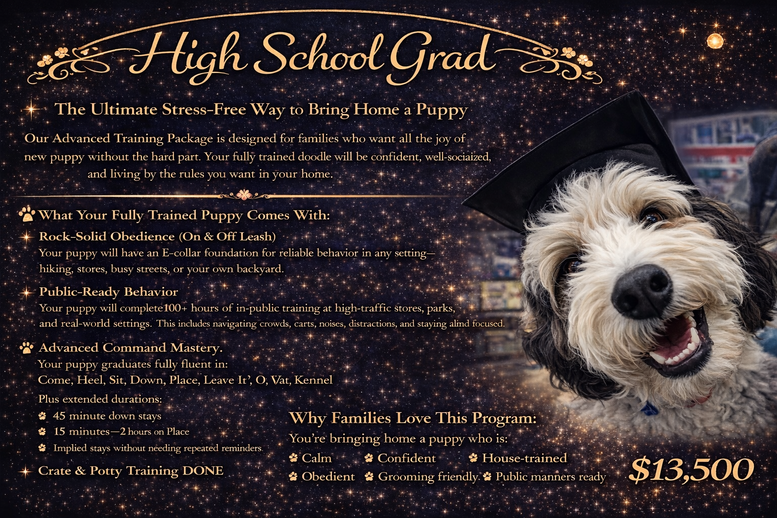 A graphic for a puppy training program titled 'High School Grad.' It has a starry background with gold text detailing the program benefits and features, including obedience and behavior training, at a cost of $13,500. A photo of a happy puppy wearing a graduation cap is on the right side of the image.