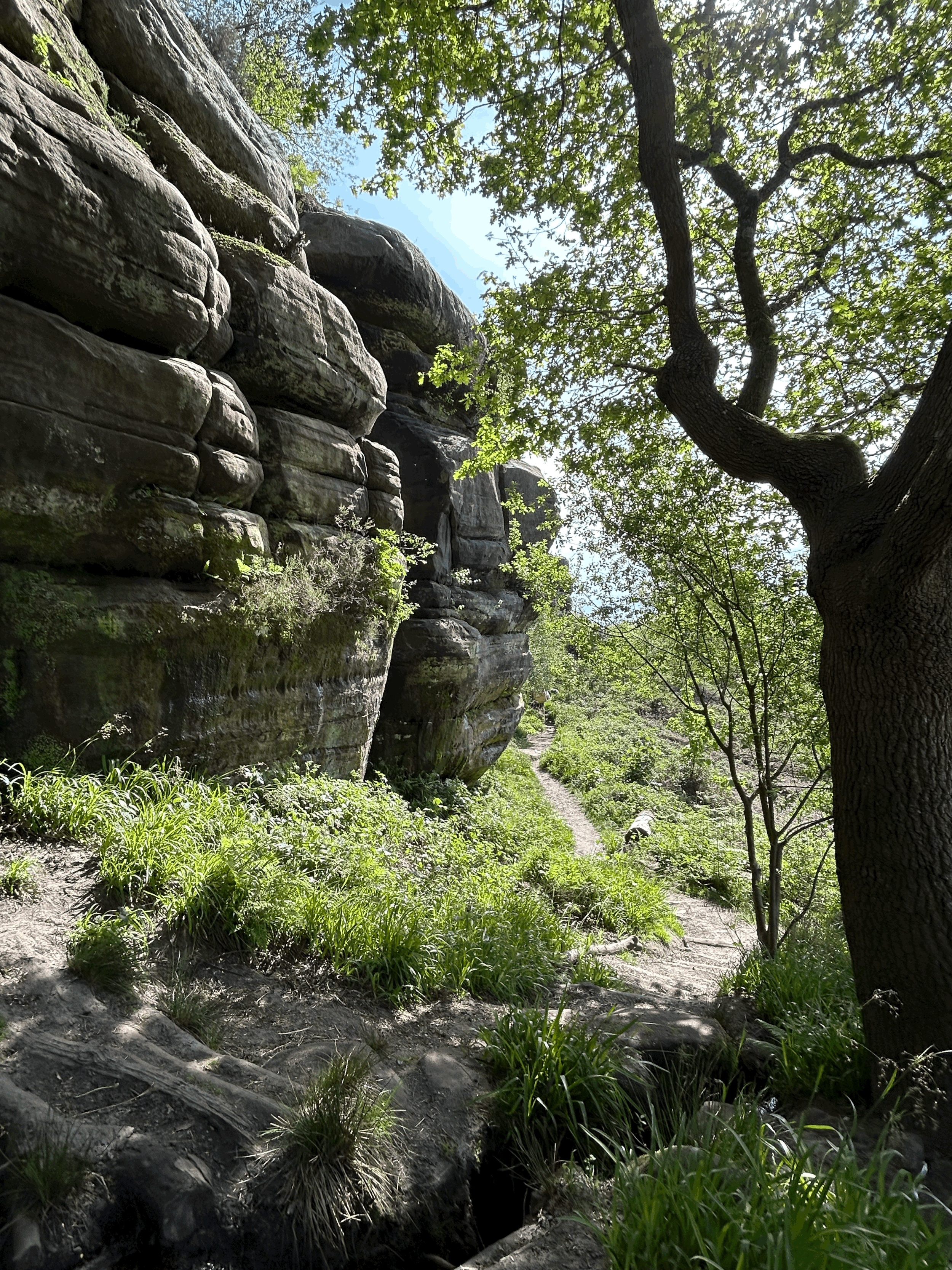 tempImagebwIILw.gif (Copy)