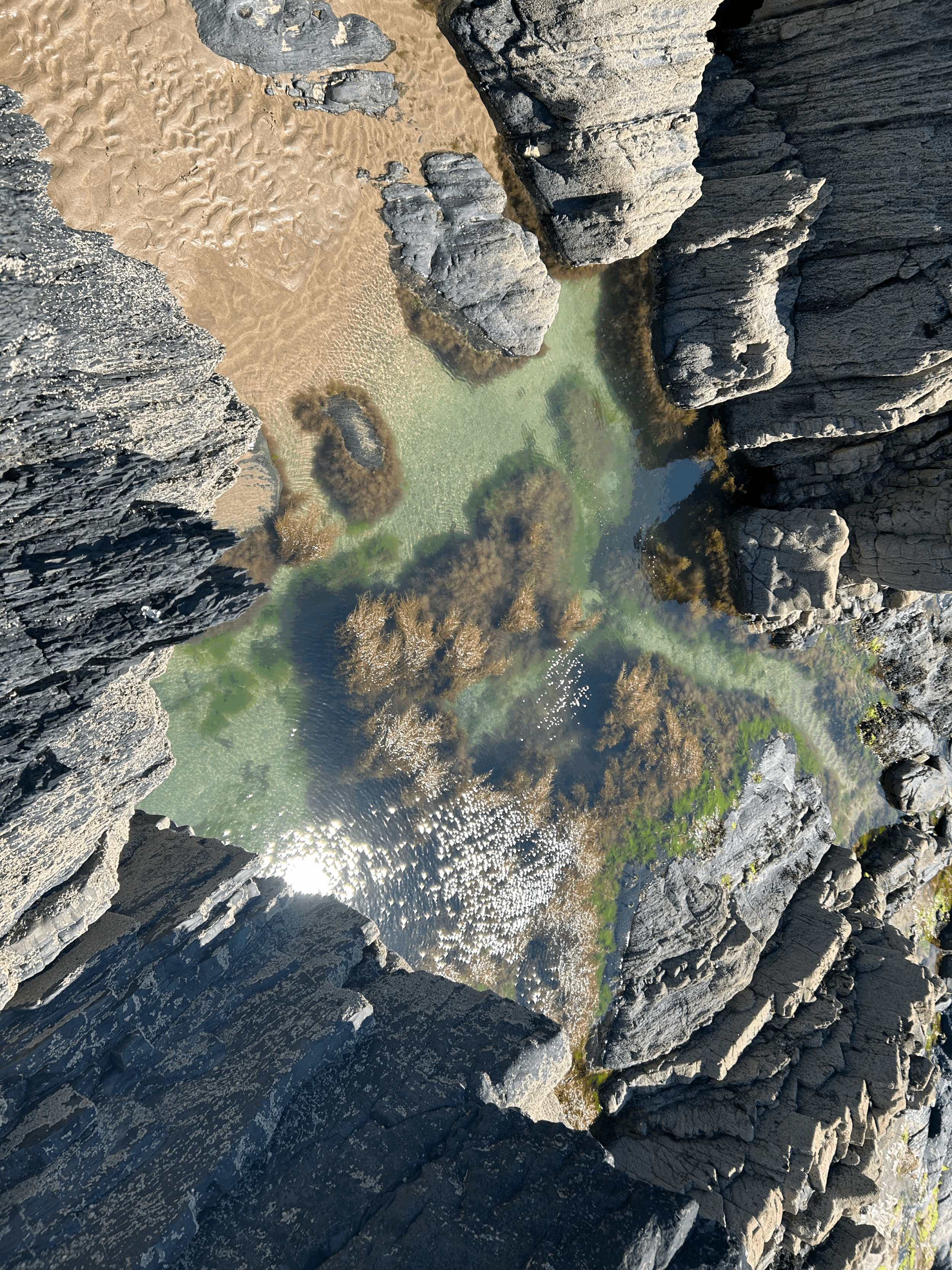 tempImagexSOtcz.gif (Copy)