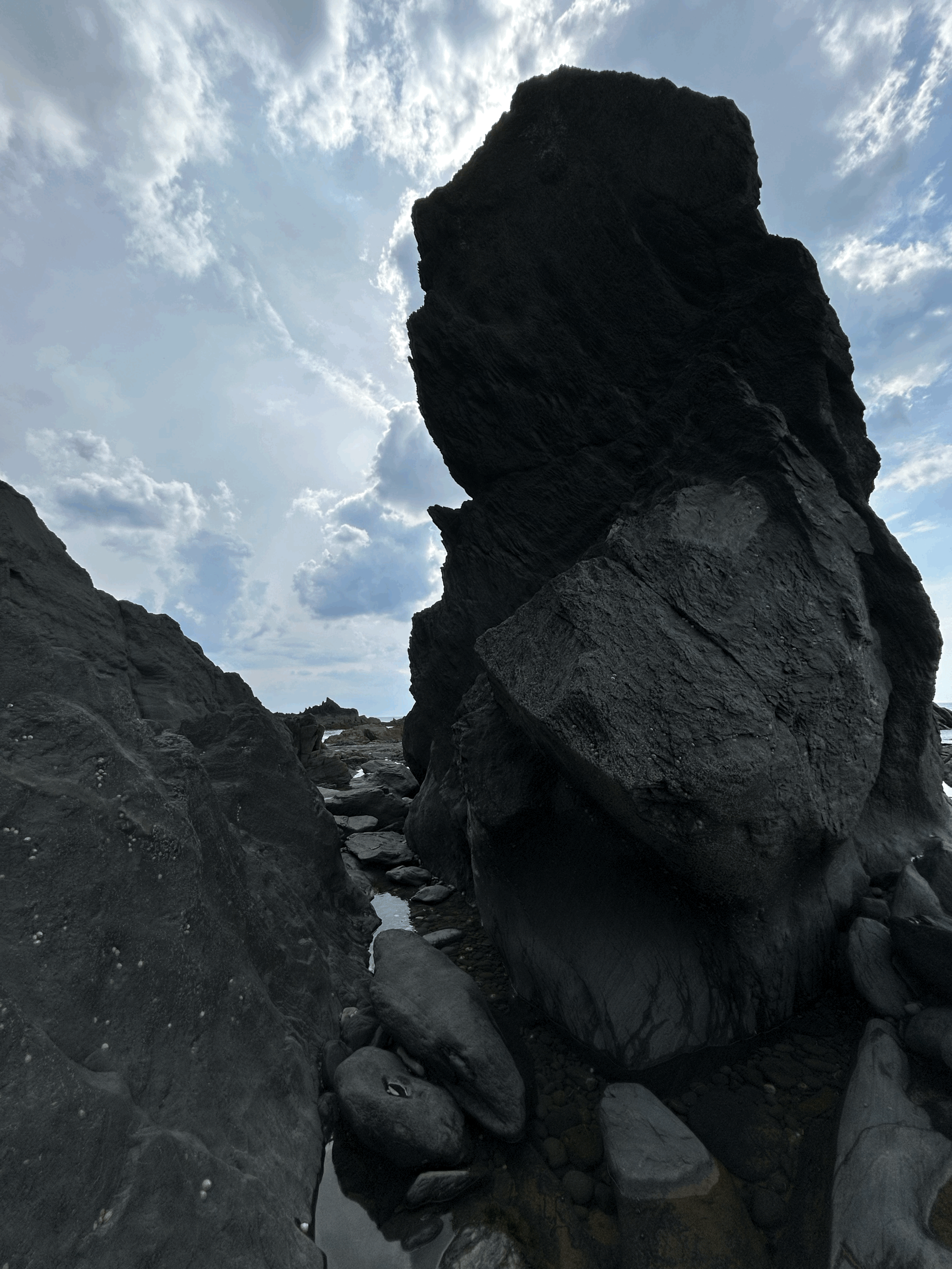 tempImageMJCHms.gif