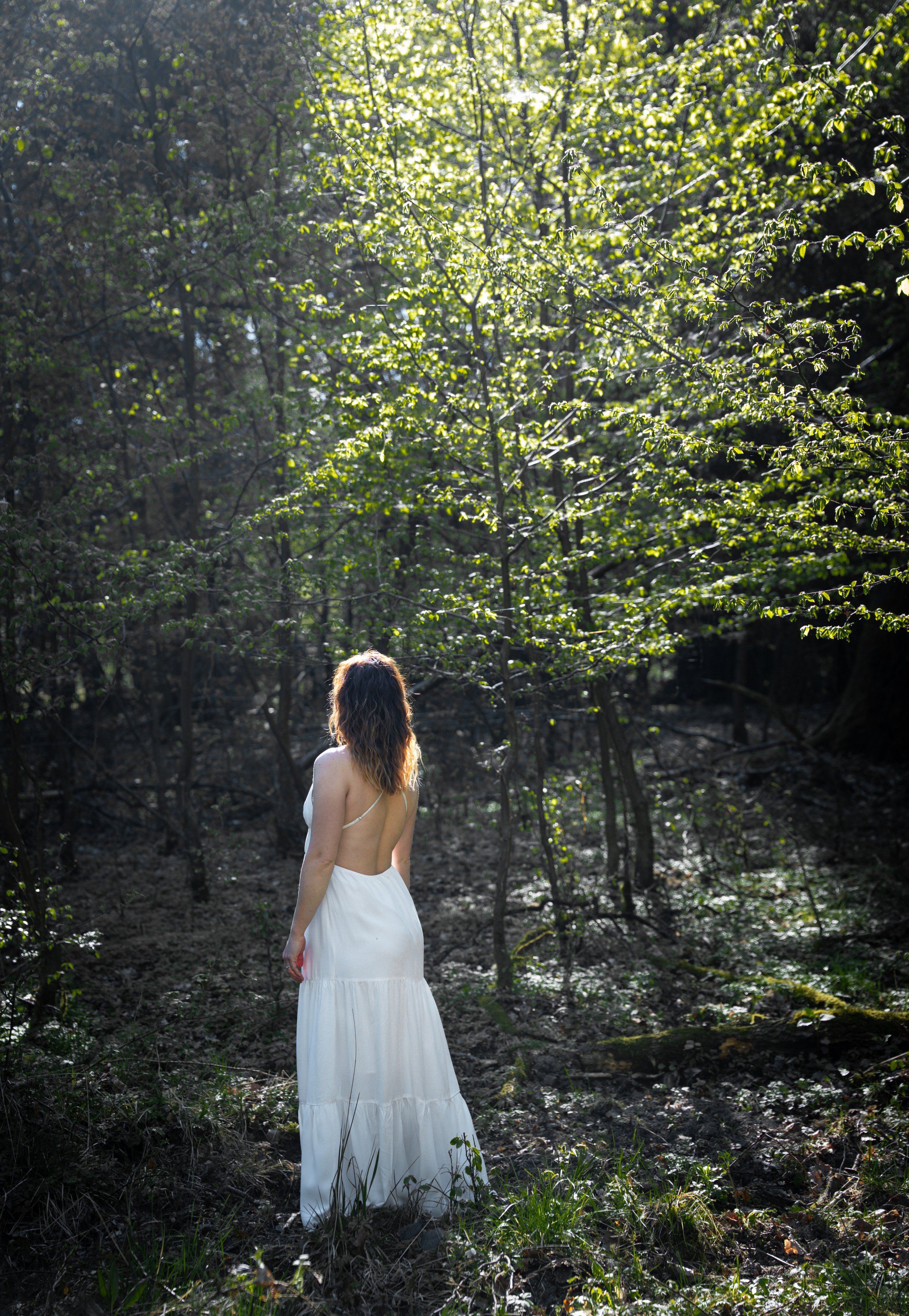 DSC09178-Edit.jpg