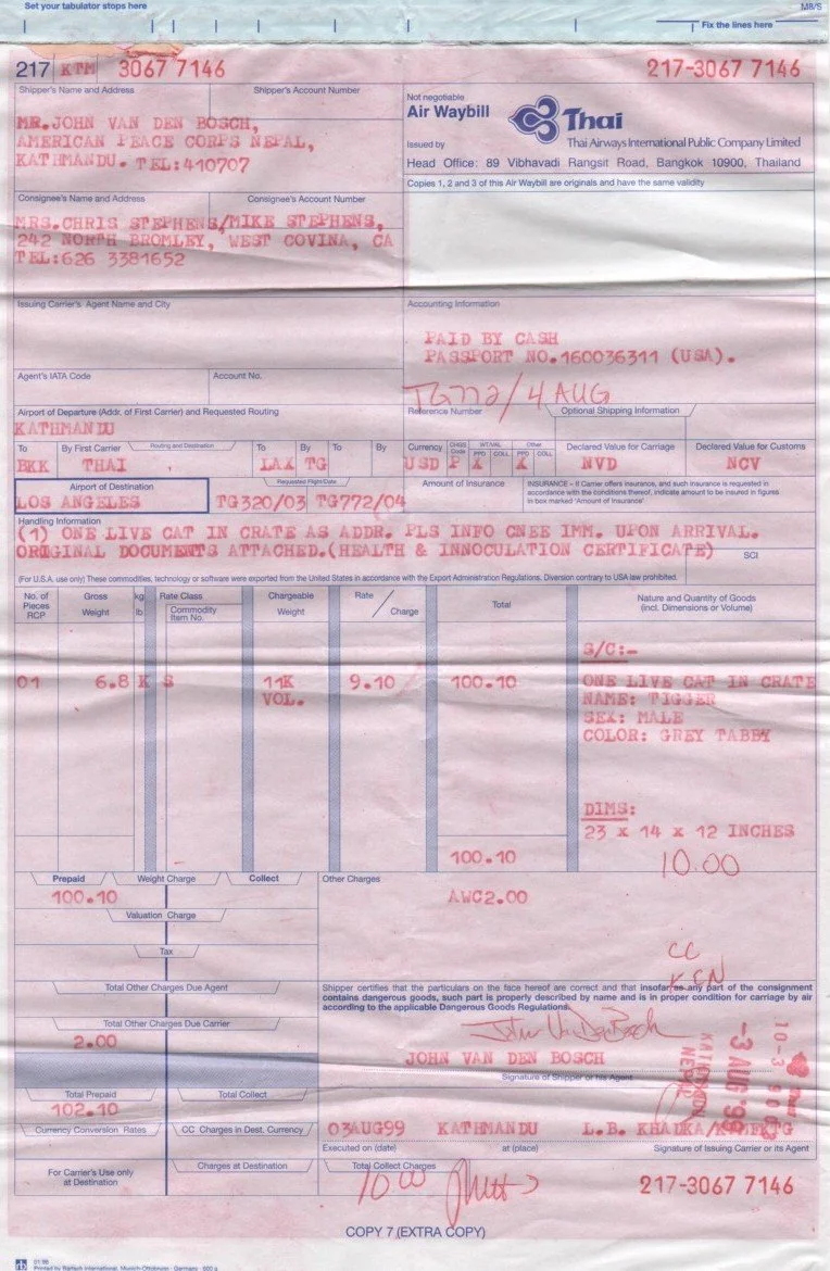 Tigger's plane ticket from Kathmandu to Los Angelos