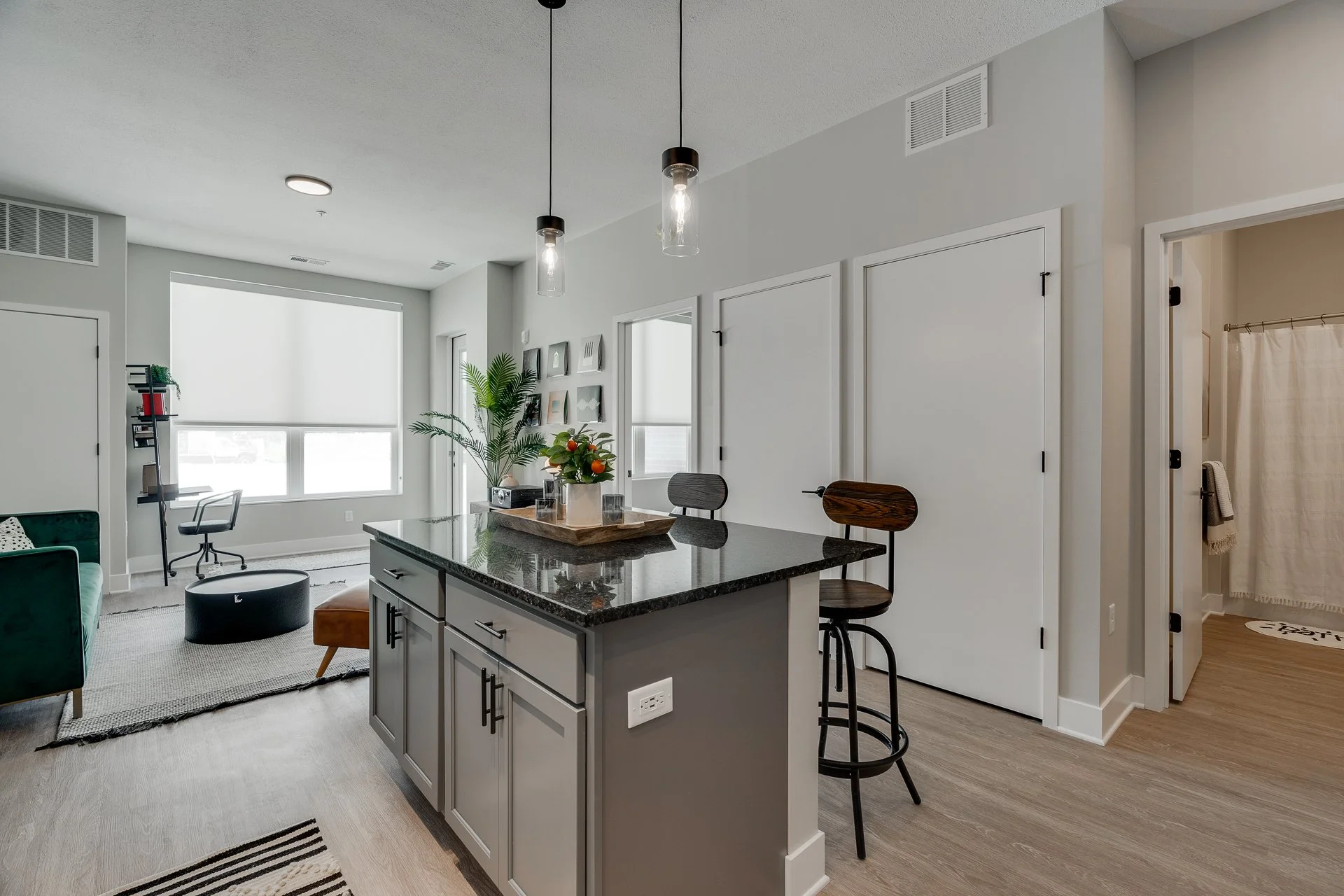 The Isaac Apartments Model Unit Web-4.jpg