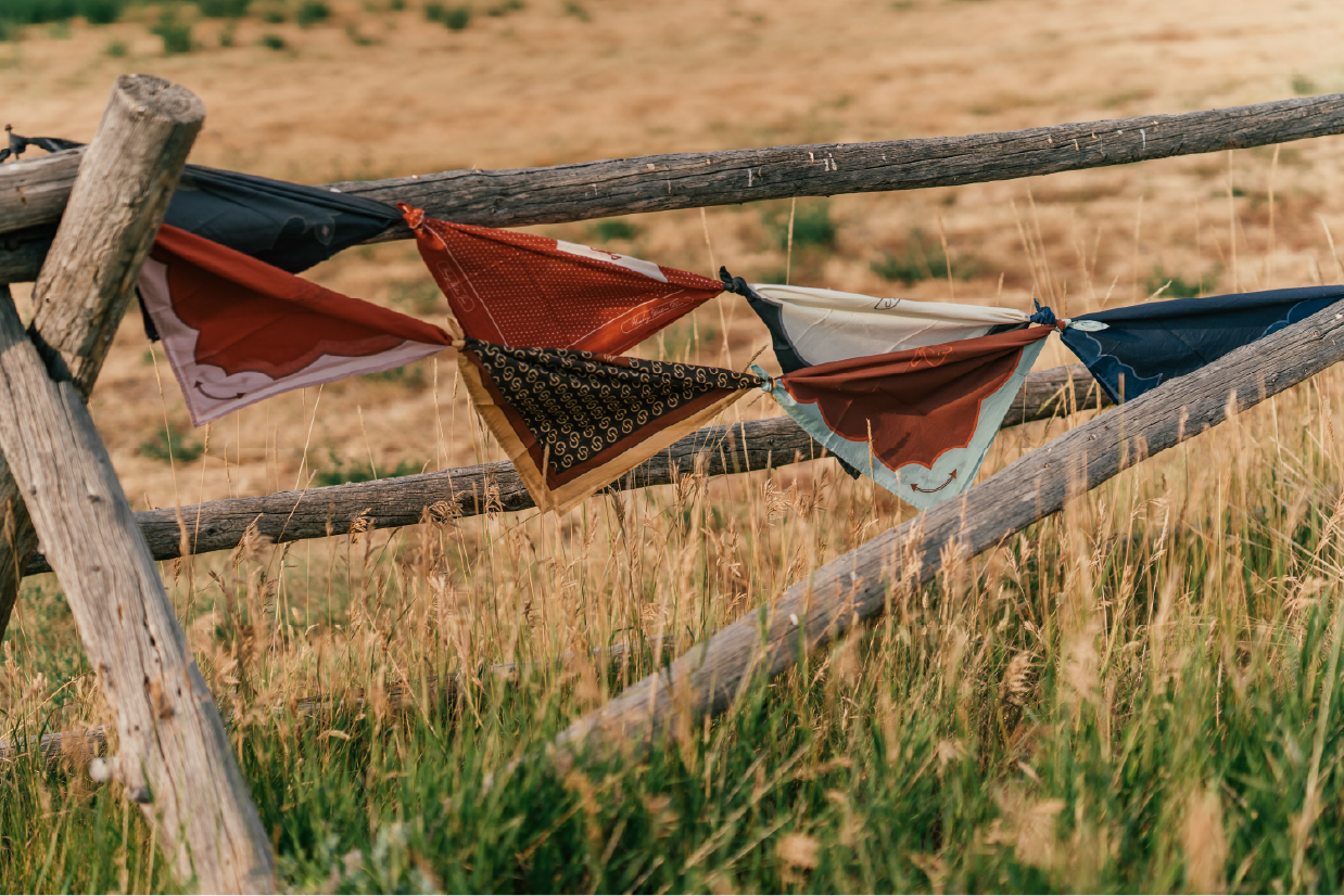 Colorful bandanas hanging on a rustic wooden fence in a grassy field.