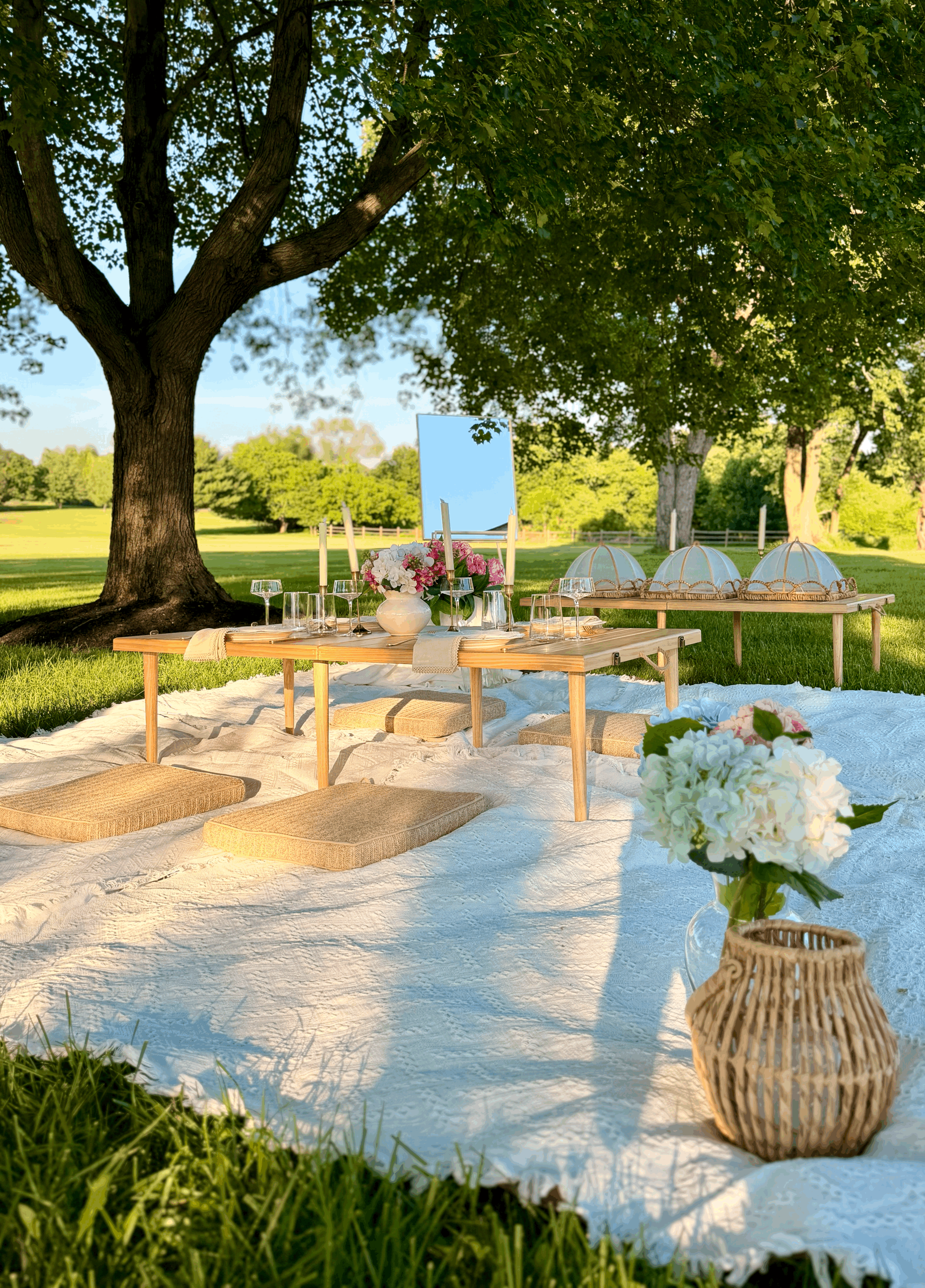 Gathering Picnic