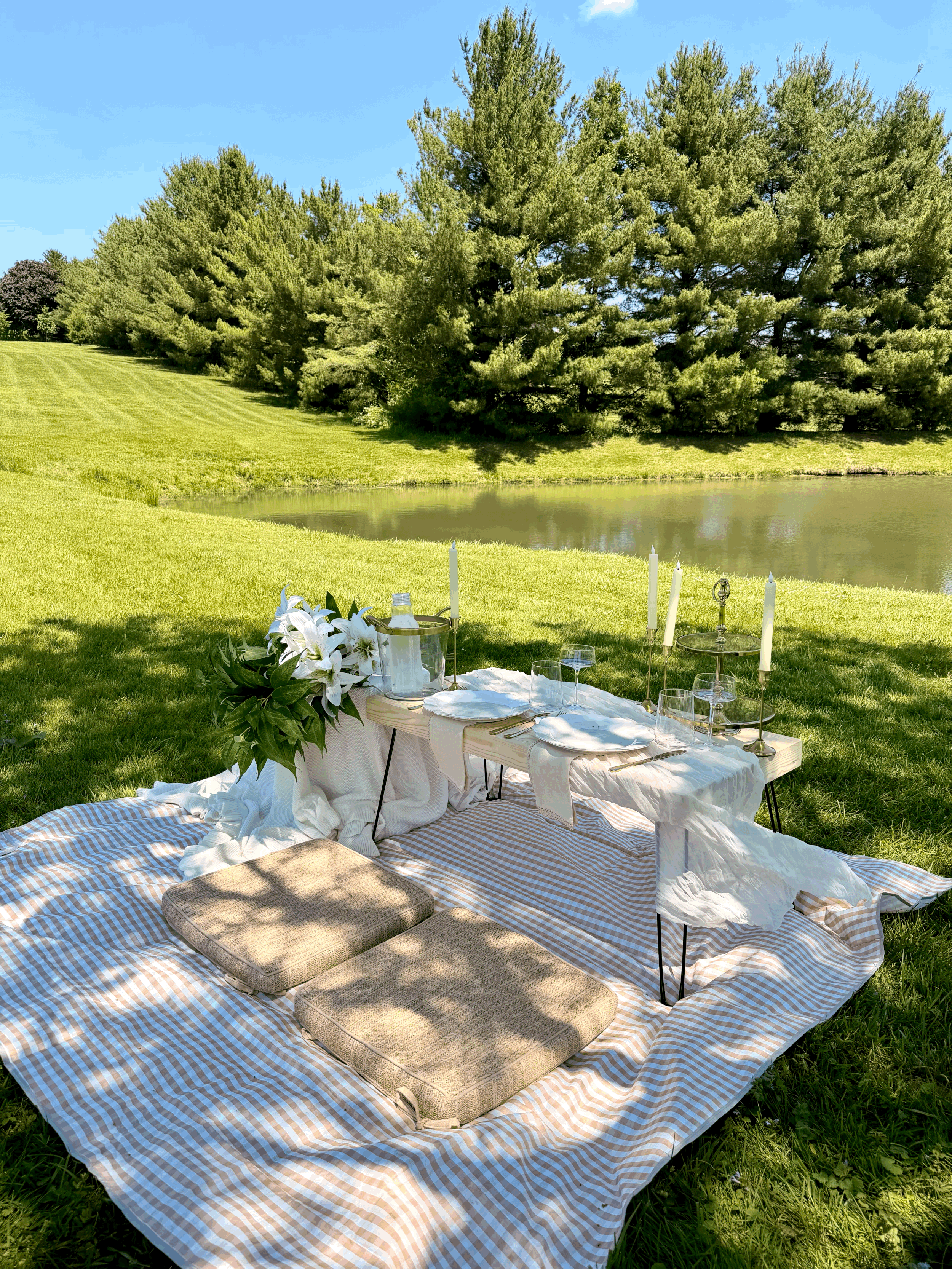 Intimate Picnic