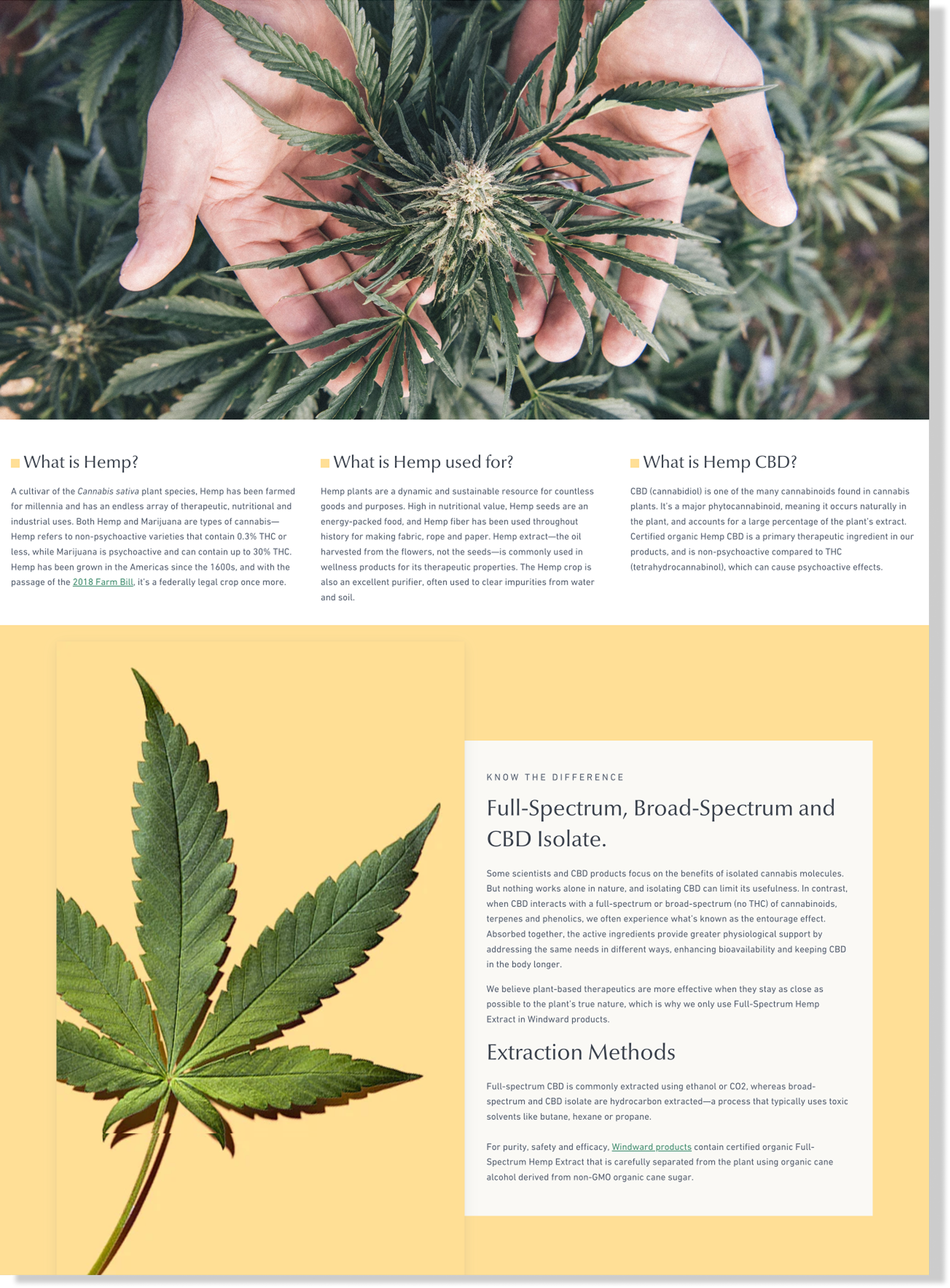 WW_learn_hemp_cbd.png