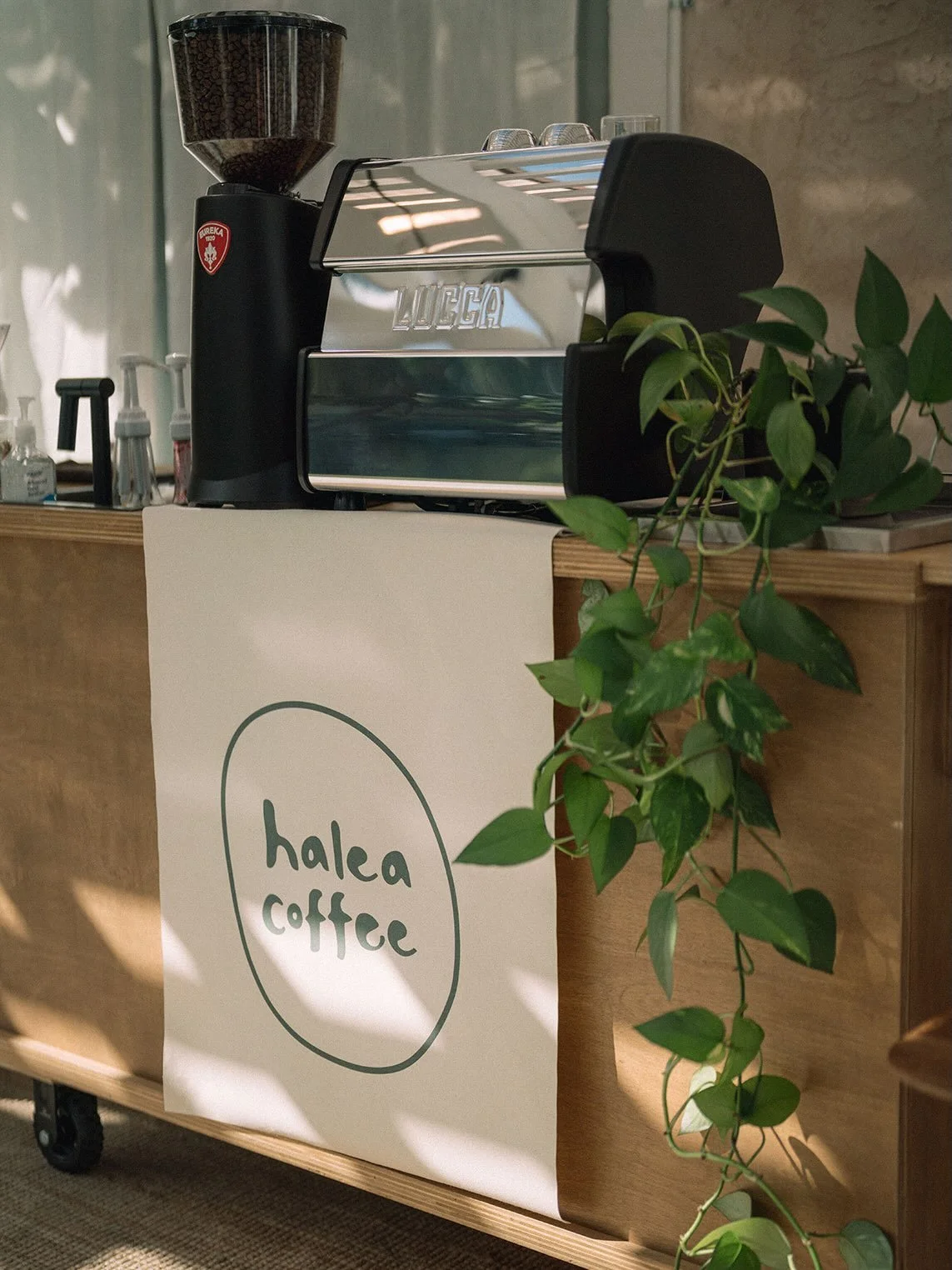 A big thank you to everyone who came to our friends &amp; family pop-up this morning ☺️ We truly felt so much love and support and appreciate each of you. ☕️🤍 Until next time! 

📸 @emilyrethphoto 

#haleacoffee
