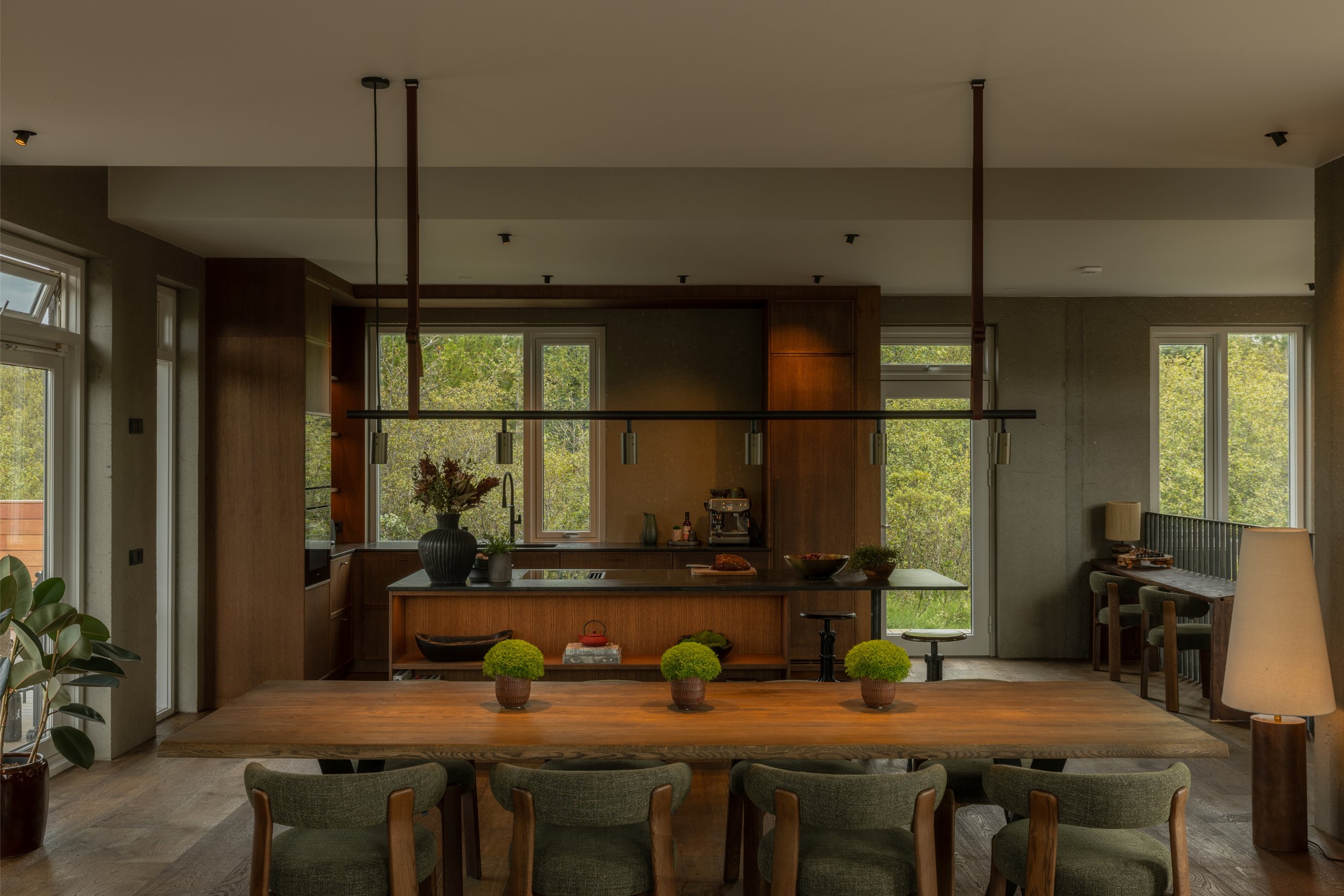 Open-concept kitchen and dining area with large windows, wooden cabinets, and a wooden table decorated with potted plants.