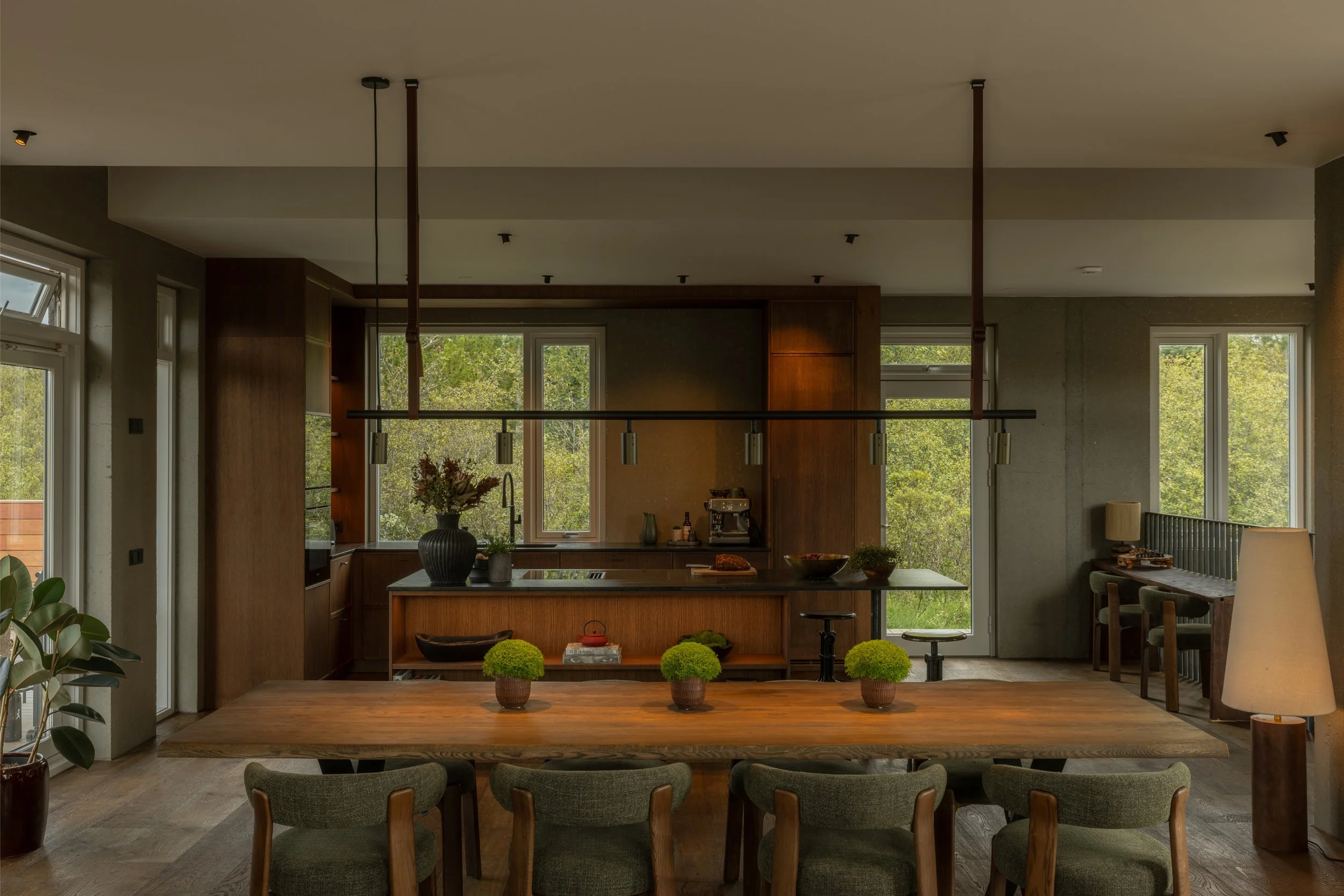 Modern kitchen and dining area with large windows, wooden furniture, and decorative plants.