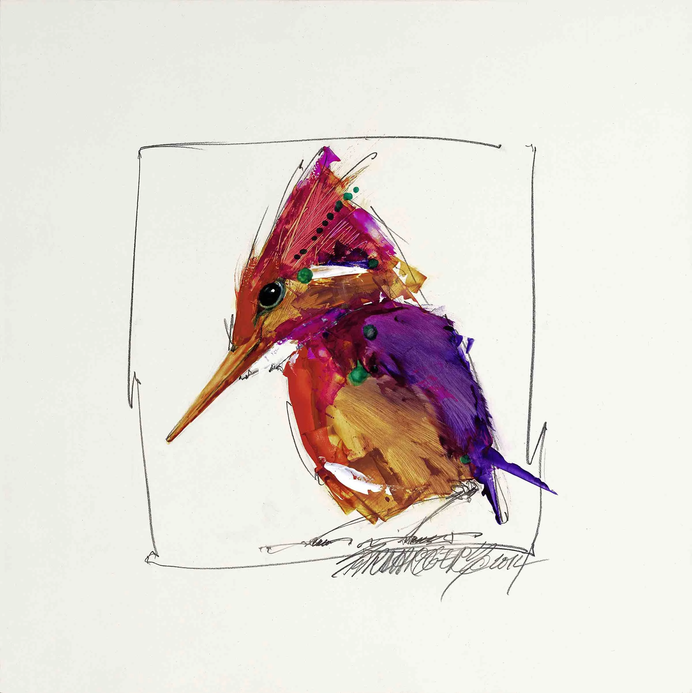 ORIENTAL DWARF KINGFISHER