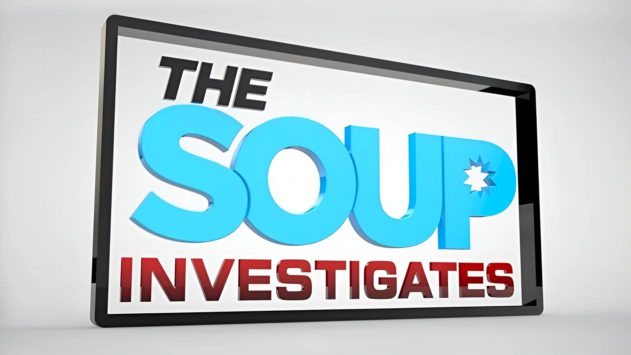 THE SOUP INVESTIGATES.jpg
