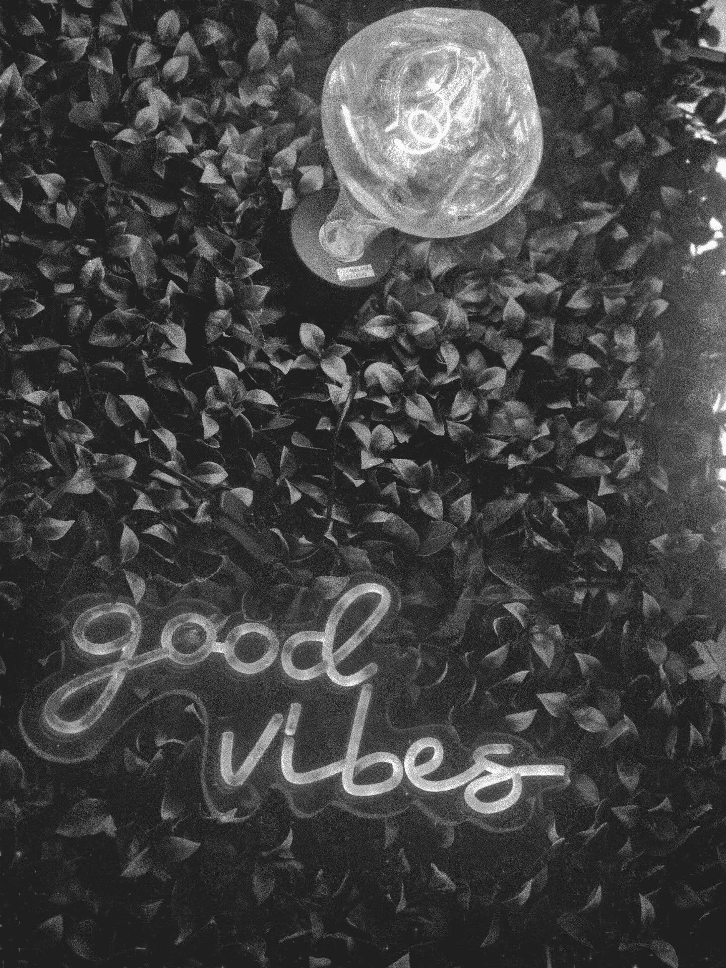 Good vibes 
@mebespace
.
.
#lalineadelaconcepci&oacute;n