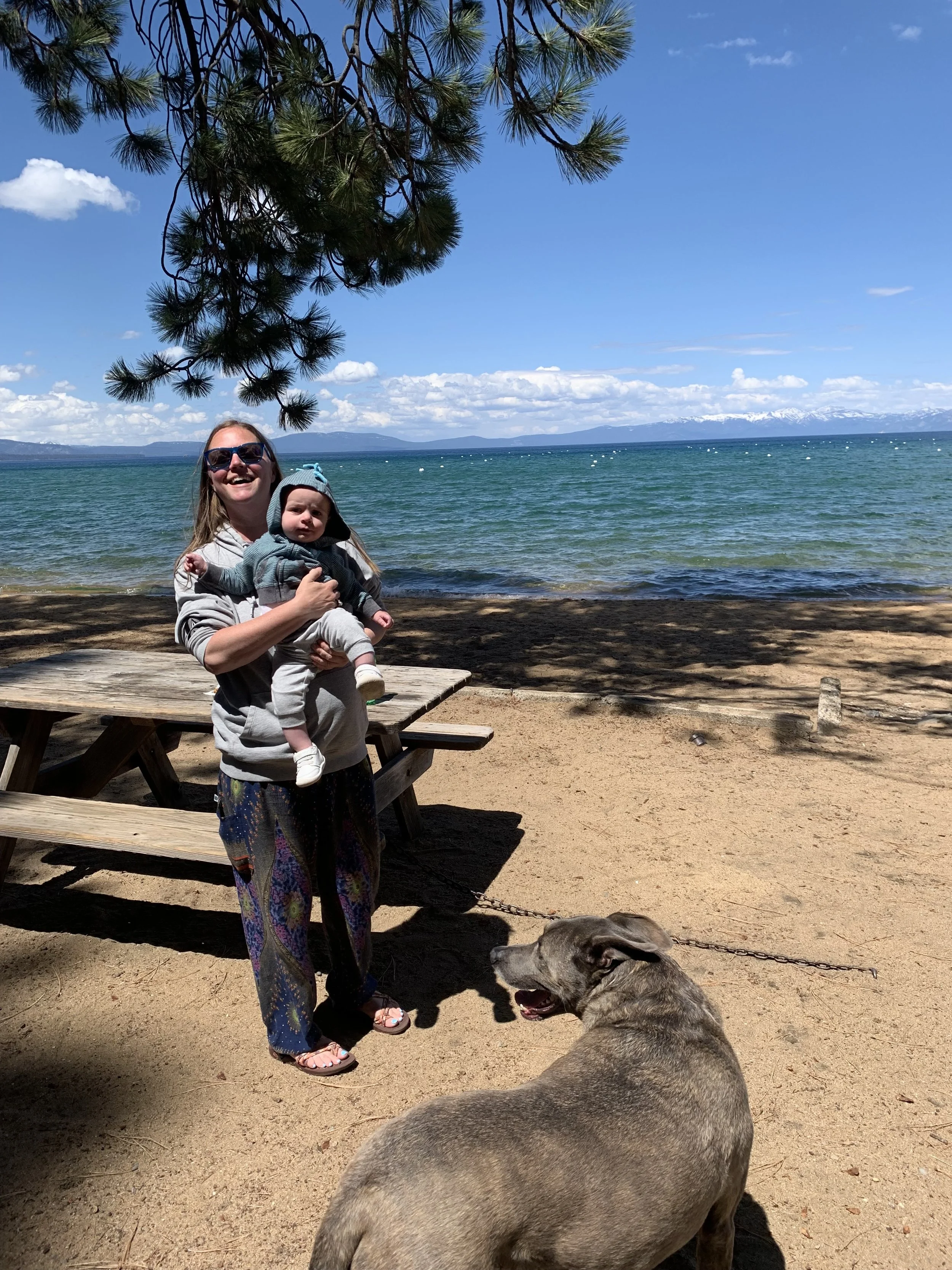 Why I Started Fuller Clean: Thoughtful House Cleaning in Lake Tahoe