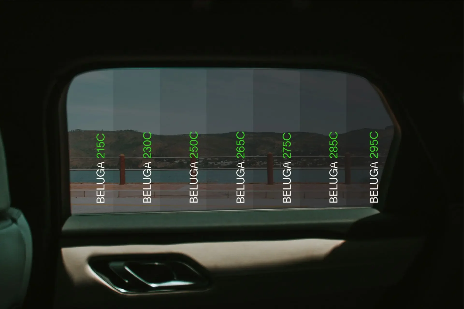 Solar_Screen_Beluga_Bild2.webp