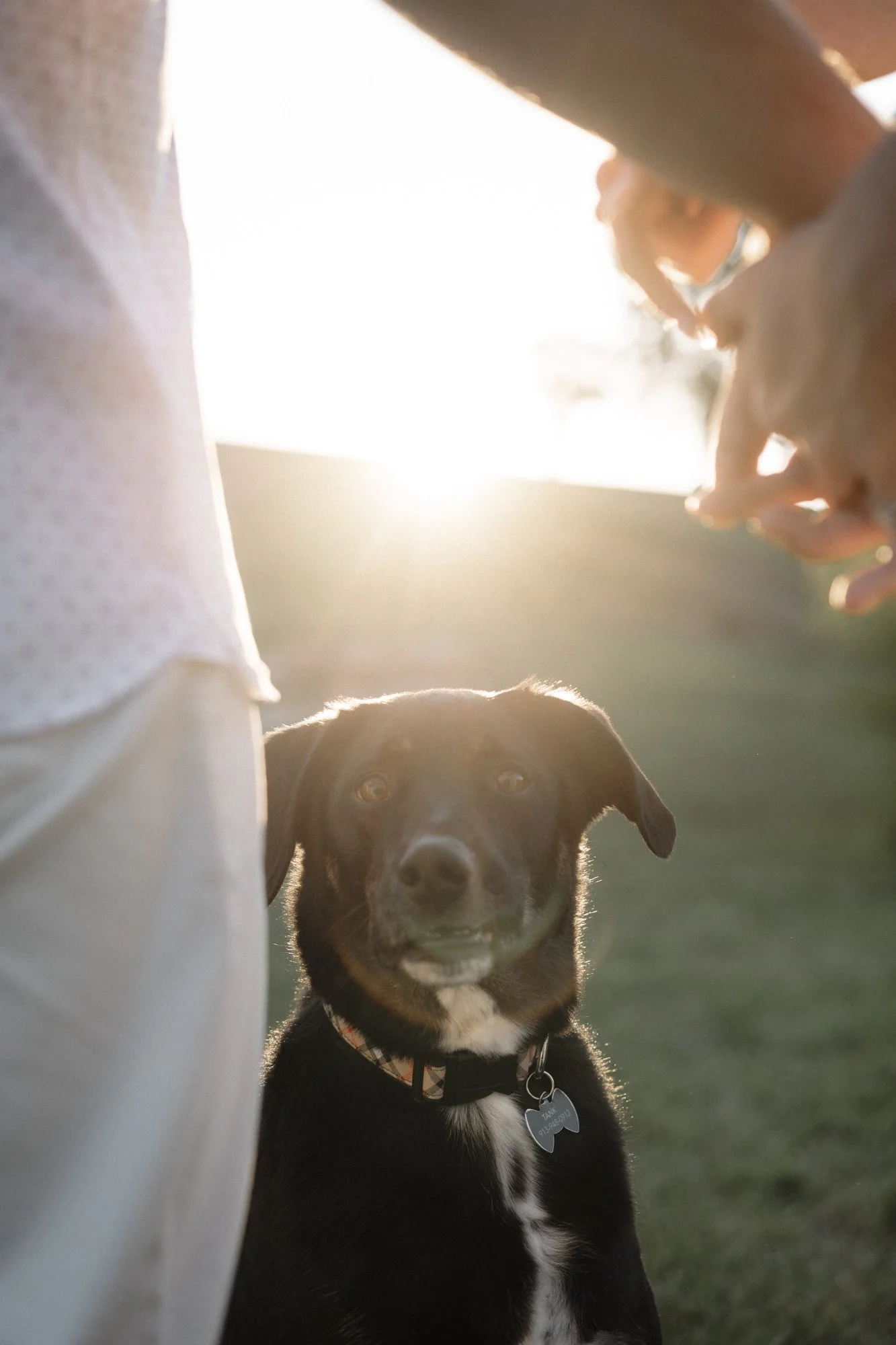 N +D Kansas City Wedding Photographer-6.jpg