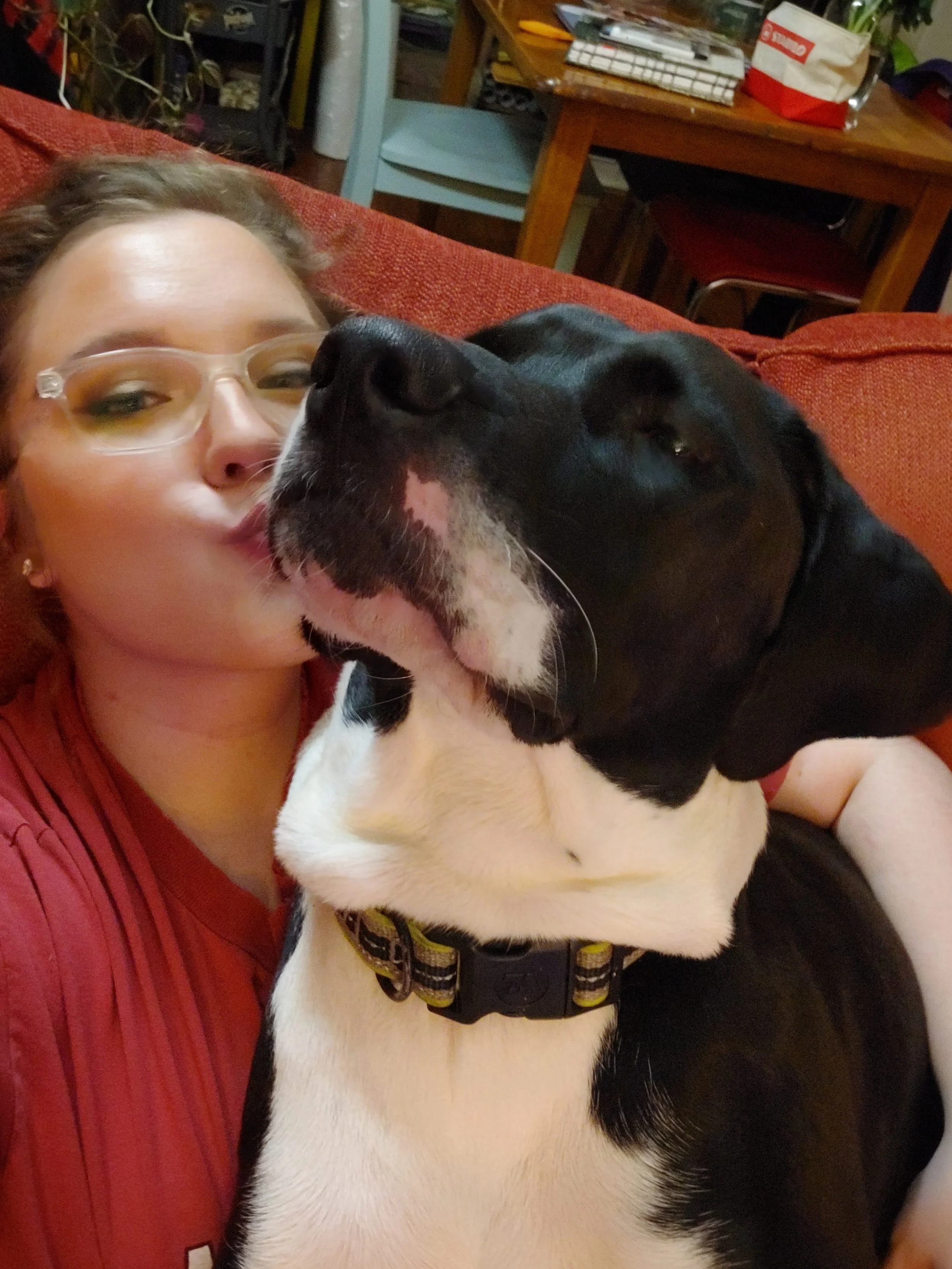A woman with glasses and wearing a red shirt is lying on a couch, giving a kiss to a large black and white dog, possibly a Great Dane, who is lying next to her.