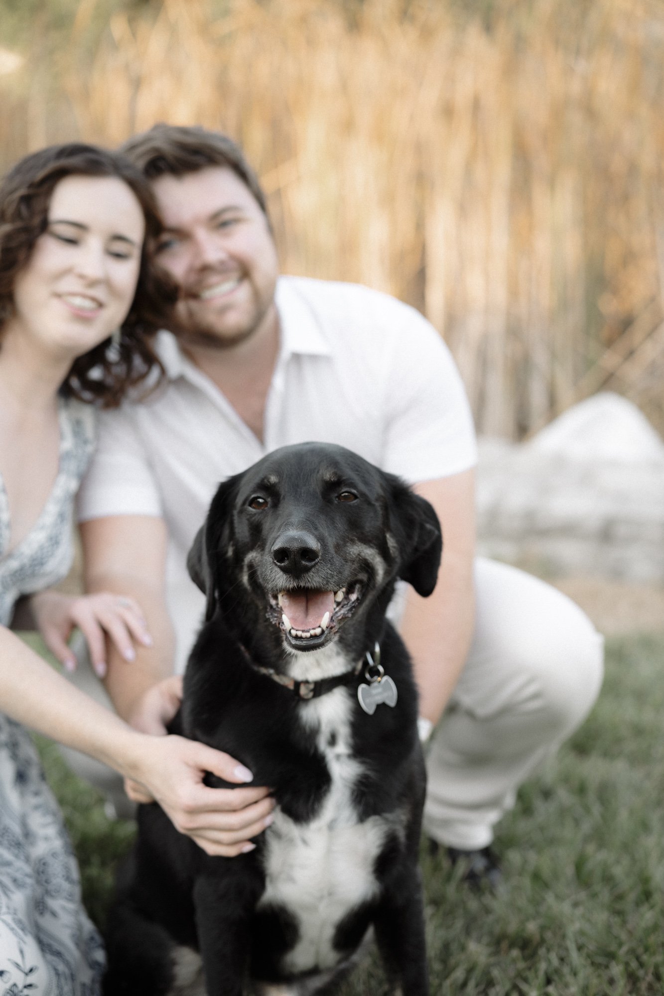 N +D Kansas City Wedding Photographer-1.jpg
