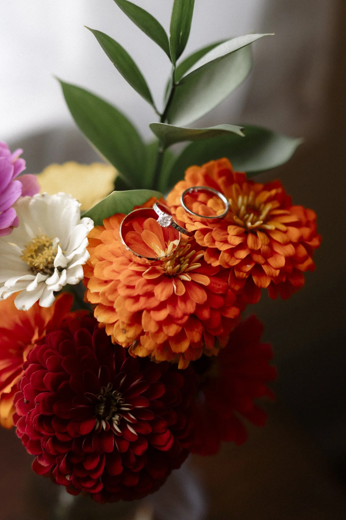 P + T Wedding Kansas City Wedding Photographer-6.jpg