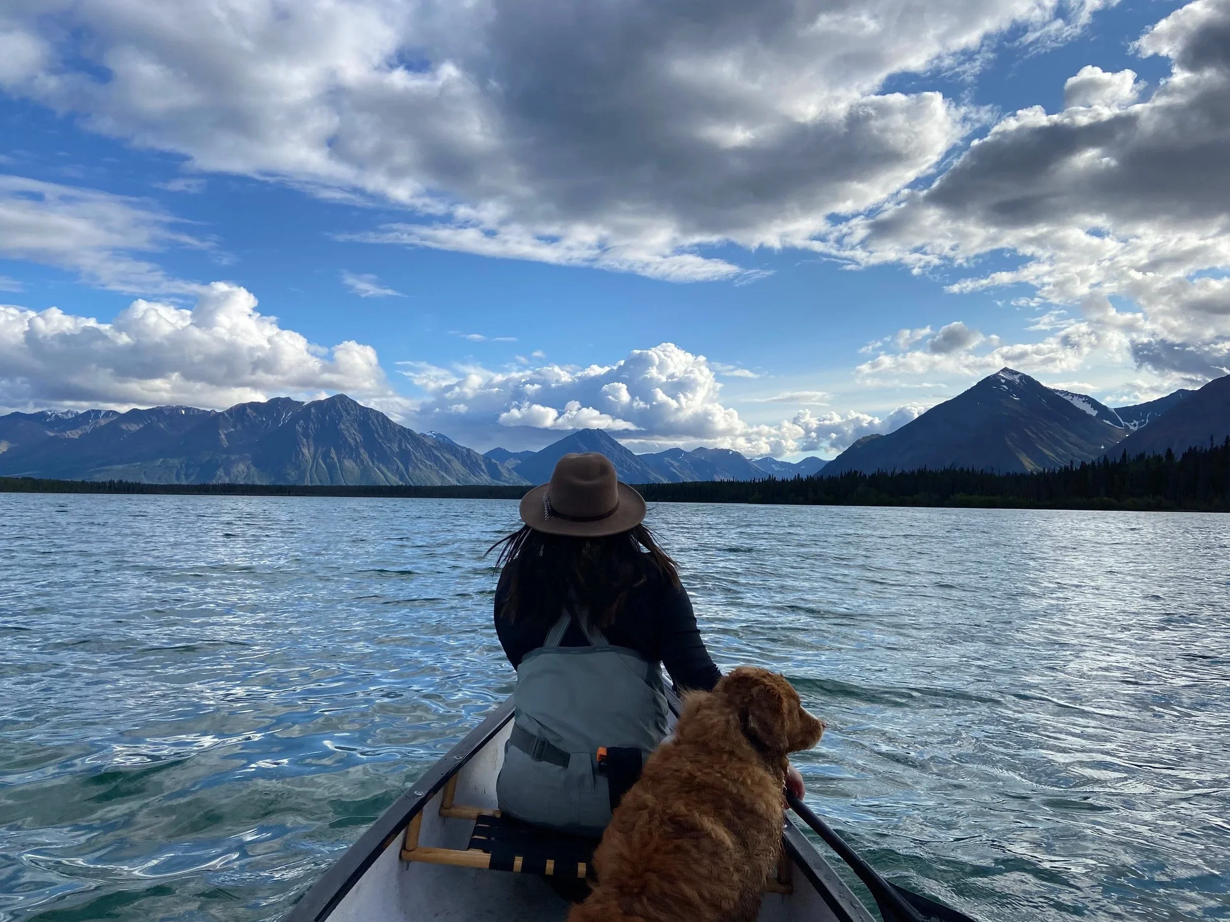 Person in a boat with a dog, facing mountains and cloudy sky over a lake.