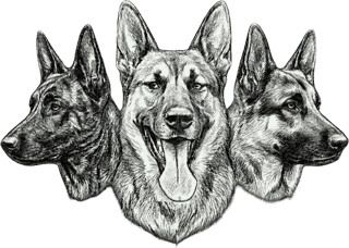Renegade Rex K9 Ranch