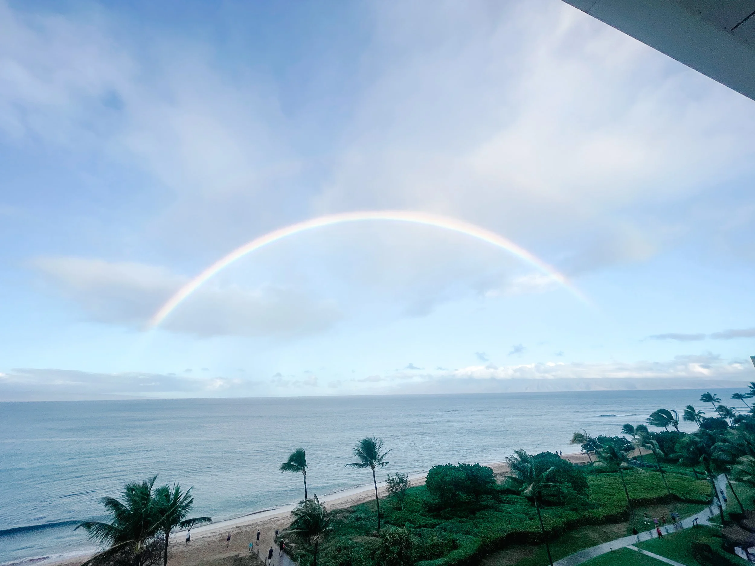 Beachside view with palm trees, ocean, and rainbow in the sky on Maui, Hawaii.