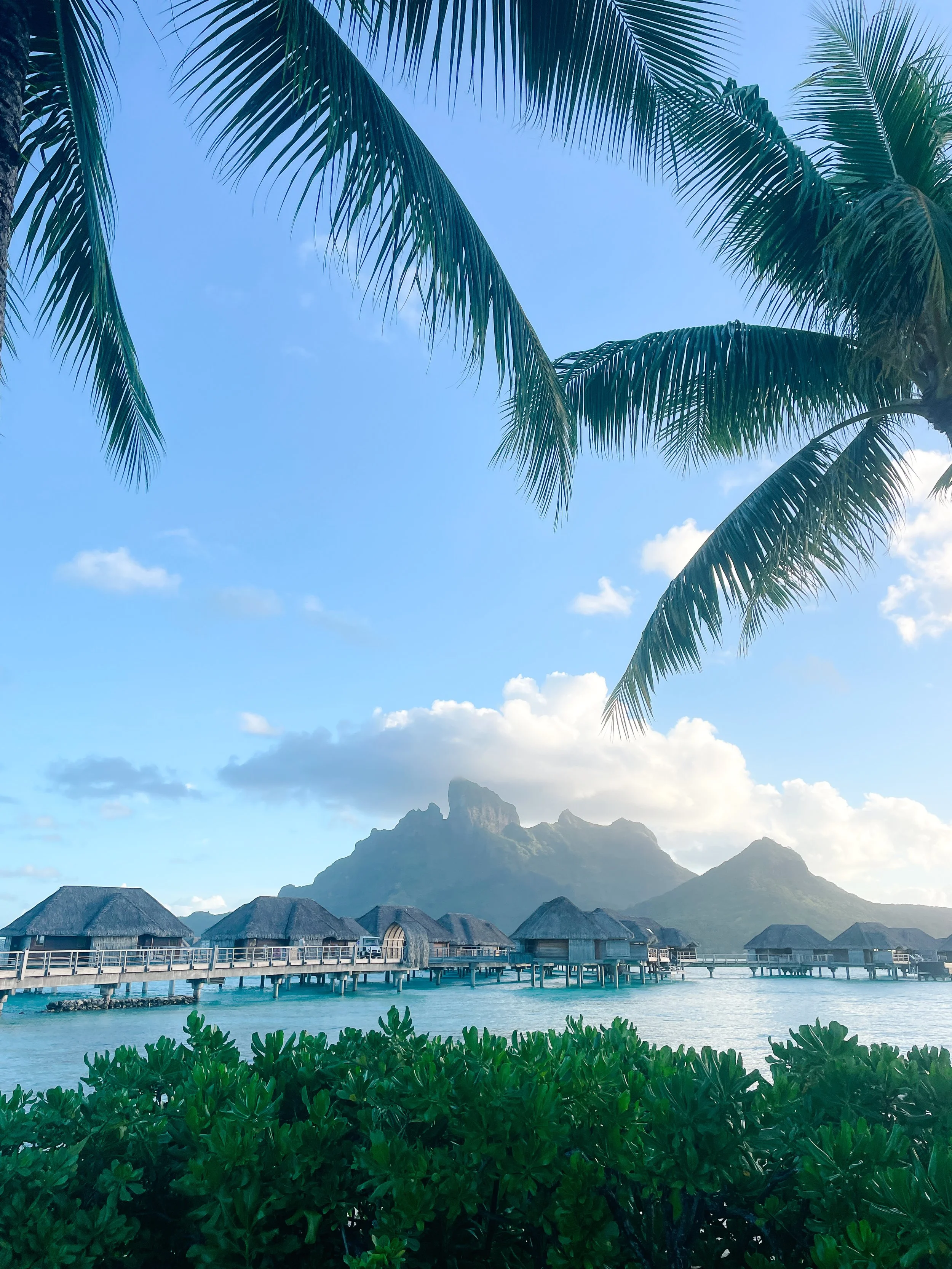 Overwater bungalows in Bora Bora, French Polynesia with lush green plants in the foreground, mountains in the background, and a clear blue sky with a few clouds.