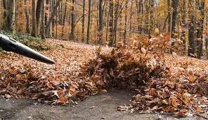 Leaf Clean Up and Mulching