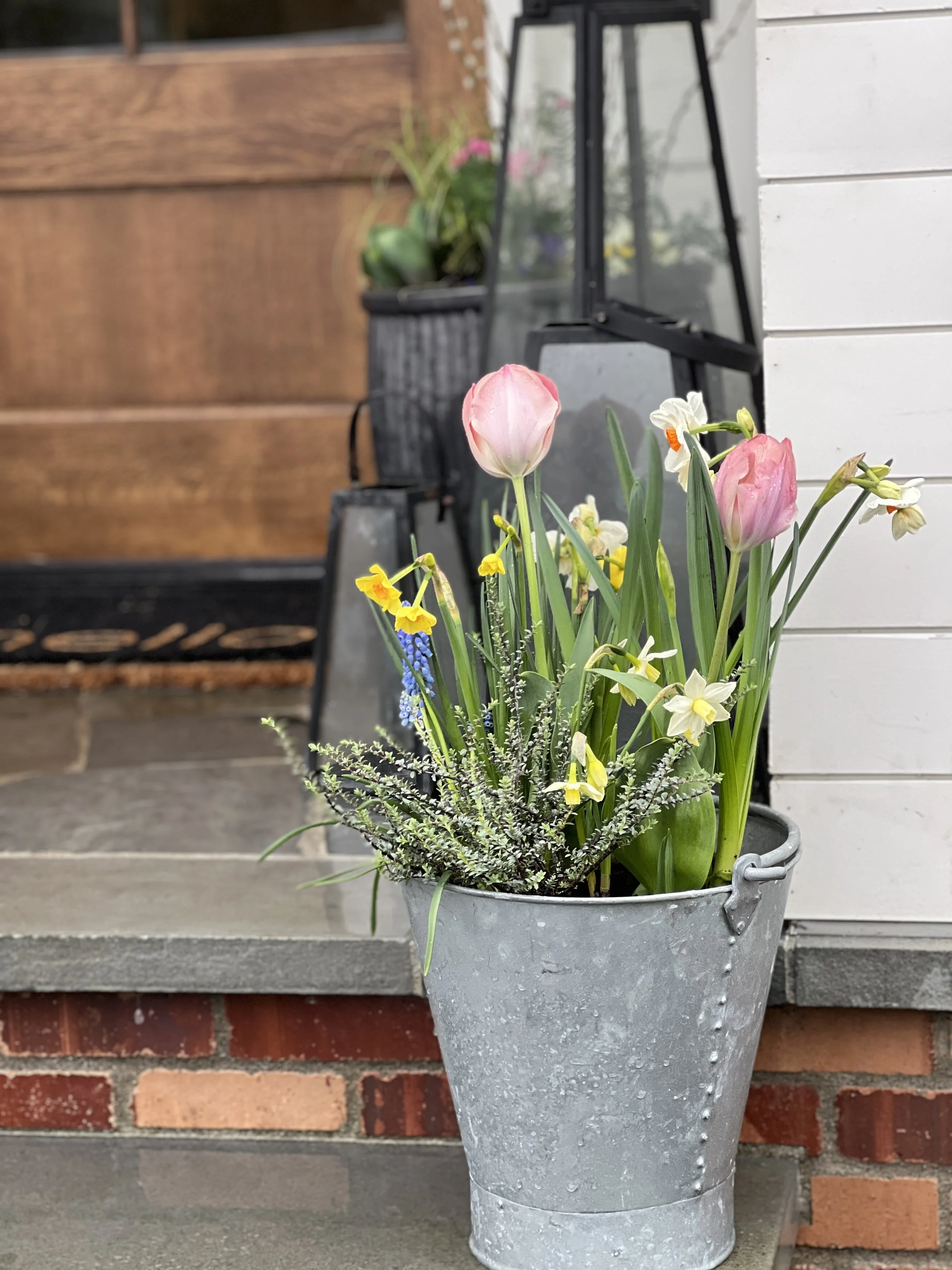 Styled front entry with seasonal planted accent pieces