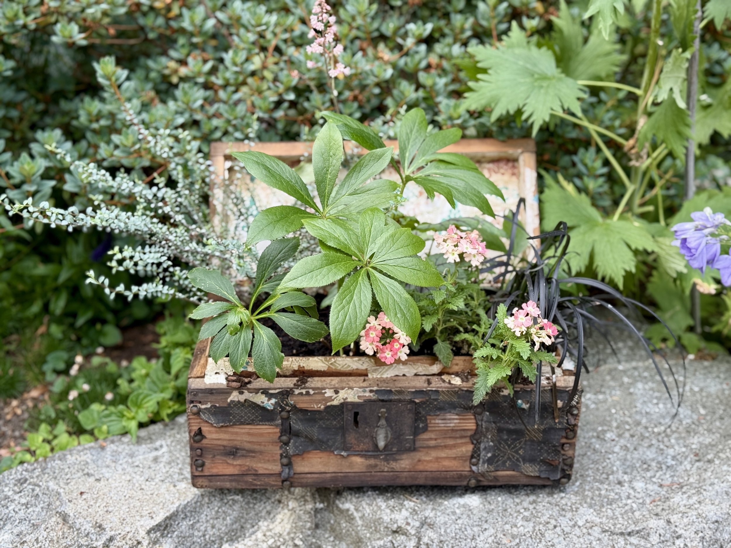 Front porch styled with seasonal blooms and custom planters
