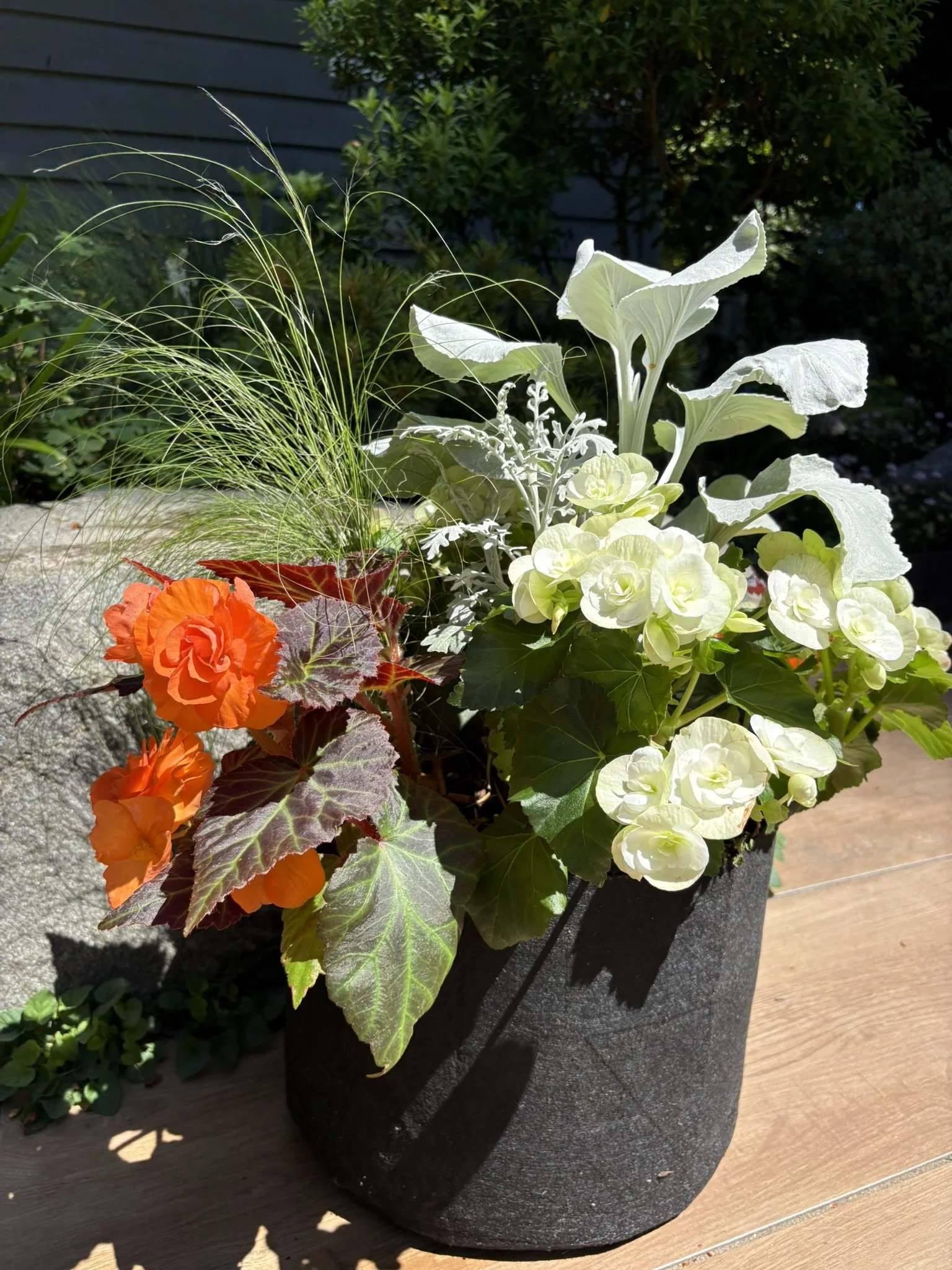 Standard Plant Insert