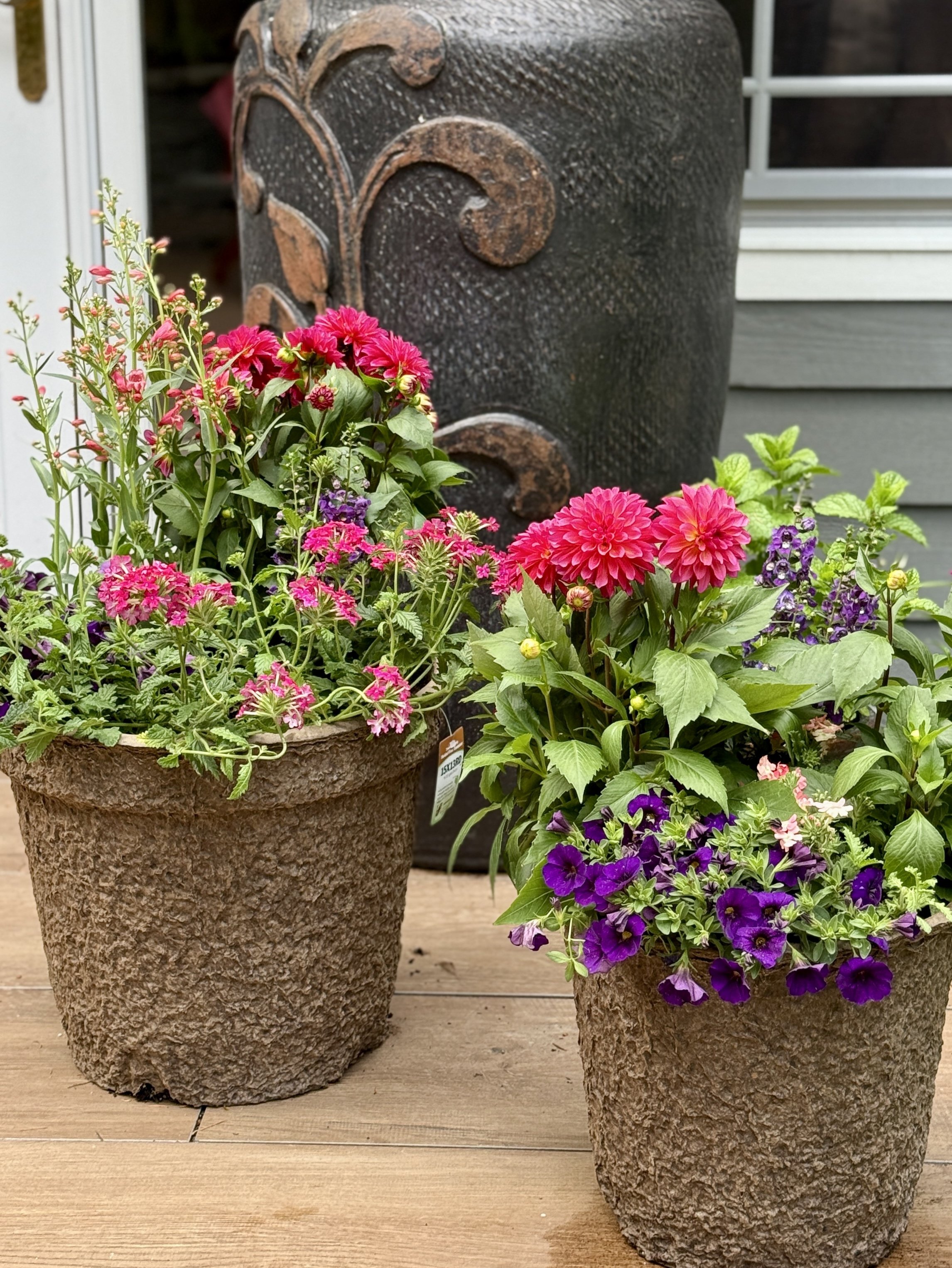 Mid-season planter in full bloom on a Pacific Northwest porch