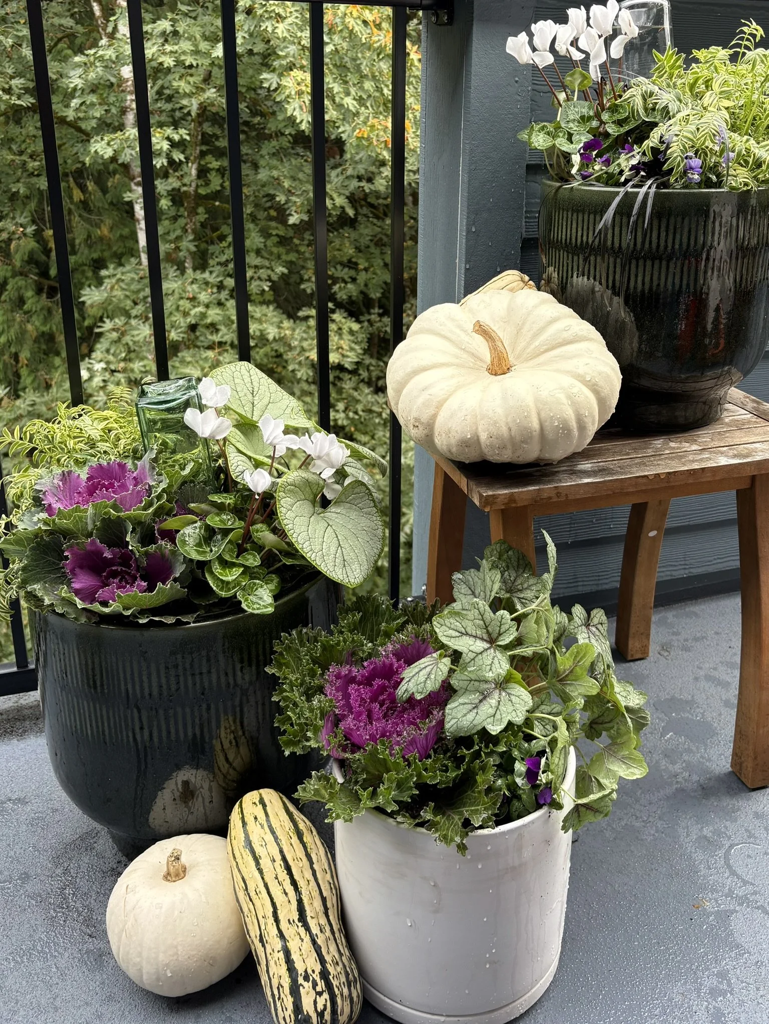 Autumn porch planting with mums, kale, and ornamental grasses