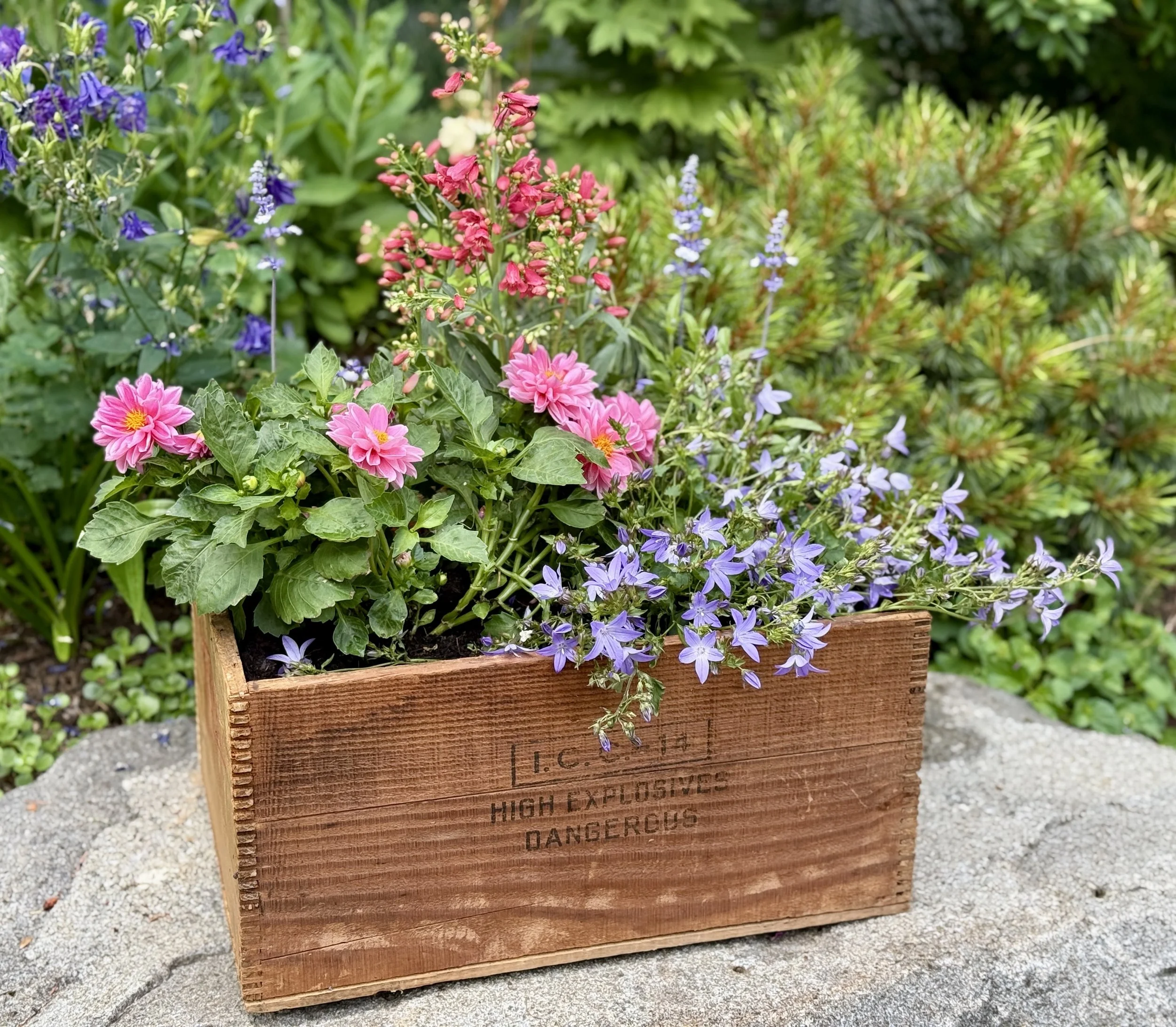 Planted Accent Piece