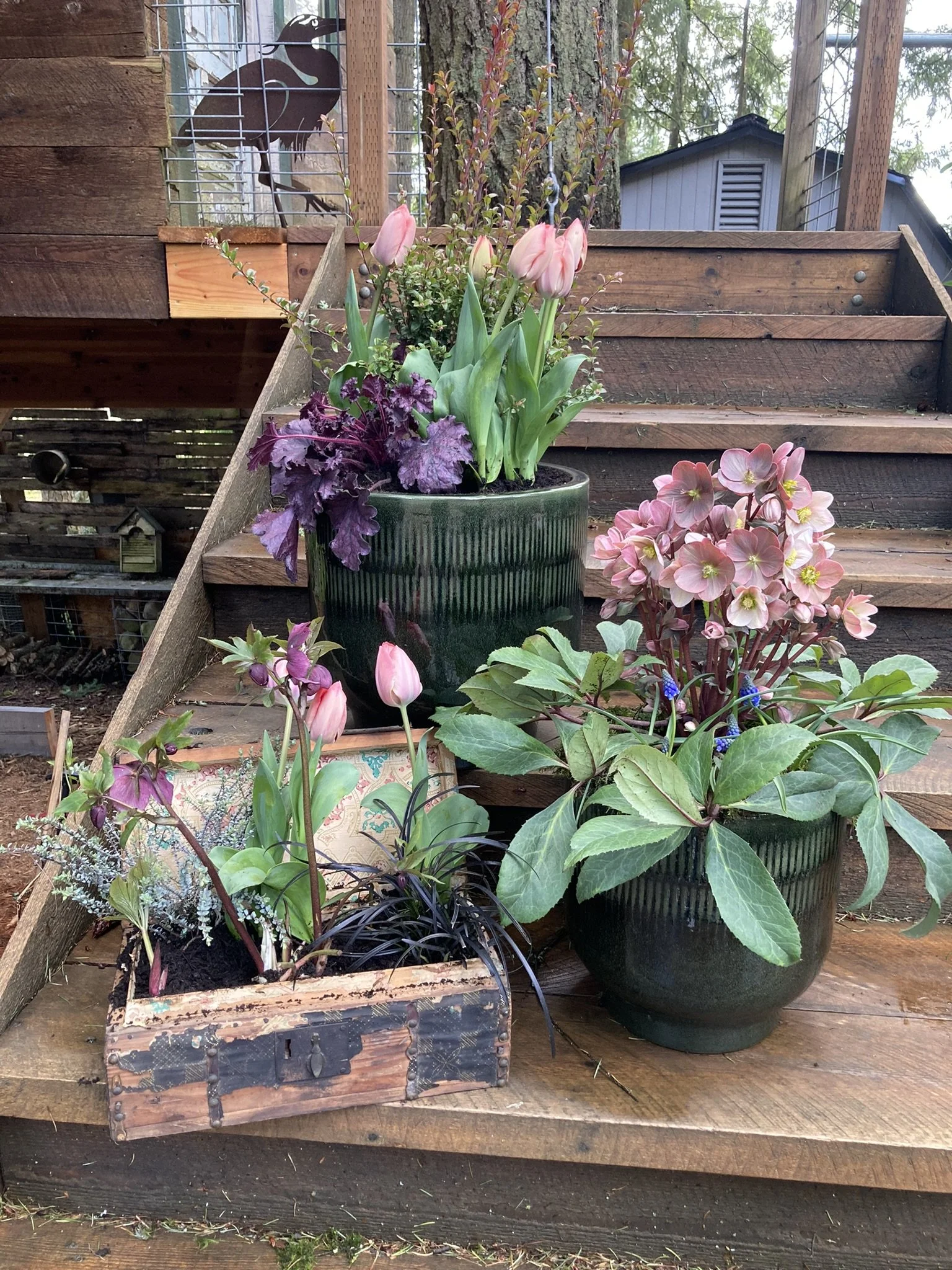 Styled front entry featuring planters and seasonal blooms