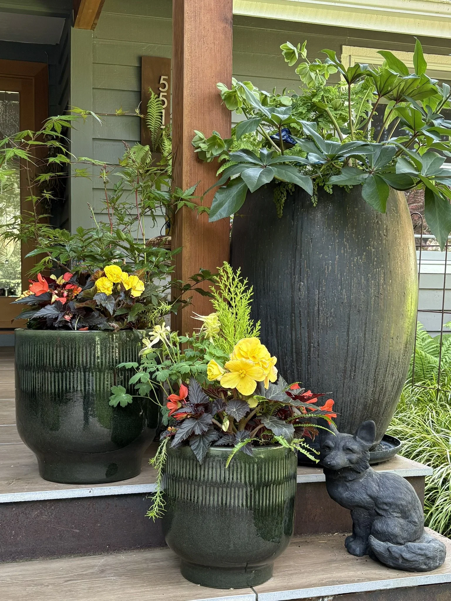 Summer porch planting with trailing vines and lush annuals