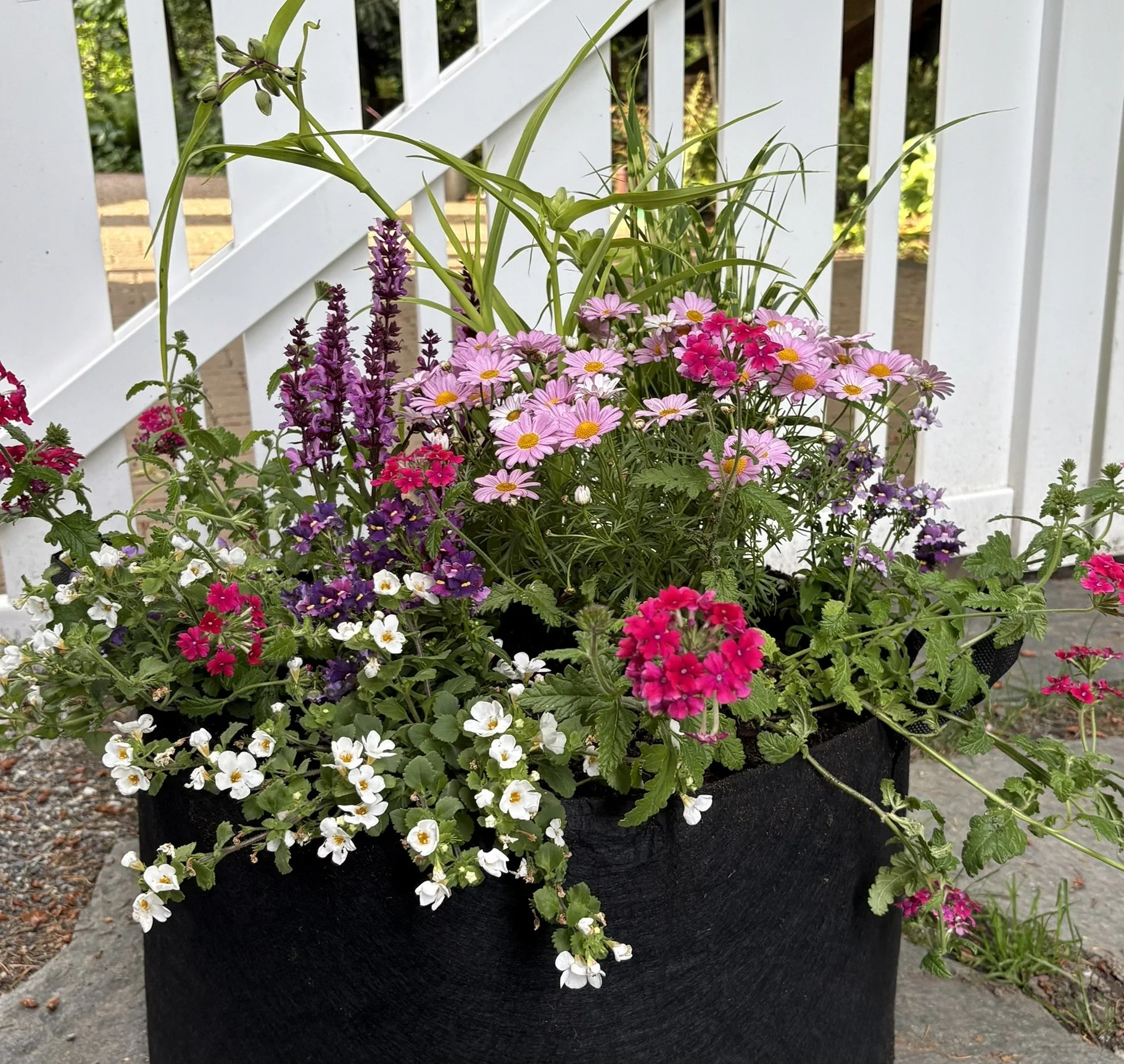 X-Large Plant Insert