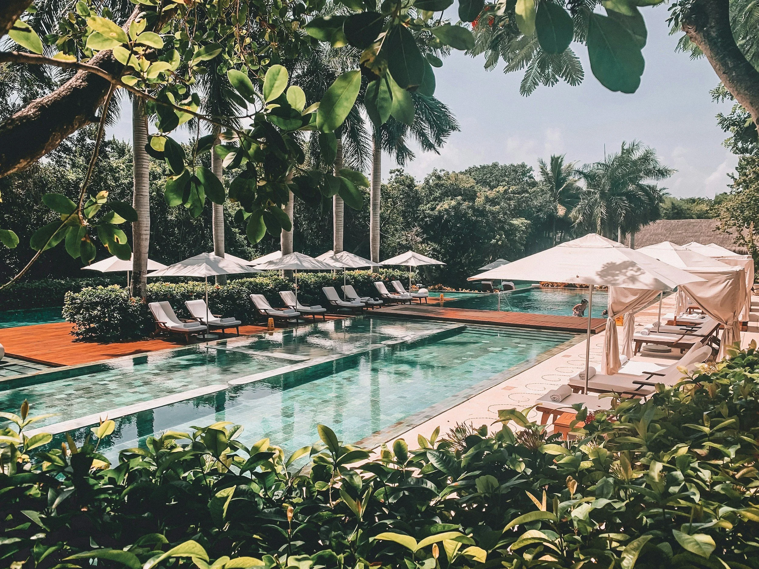 Swimming pool area with lounge chairs, umbrellas, lush green trees, and a clear sky.