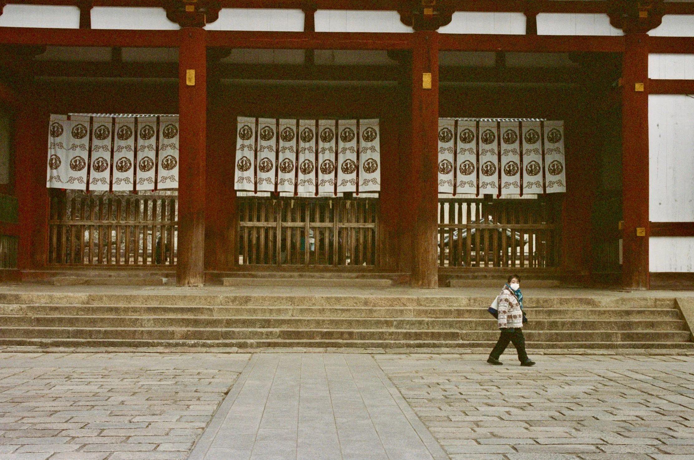 Heijo Palace - Nara, Japan — 2024年1月- tourist