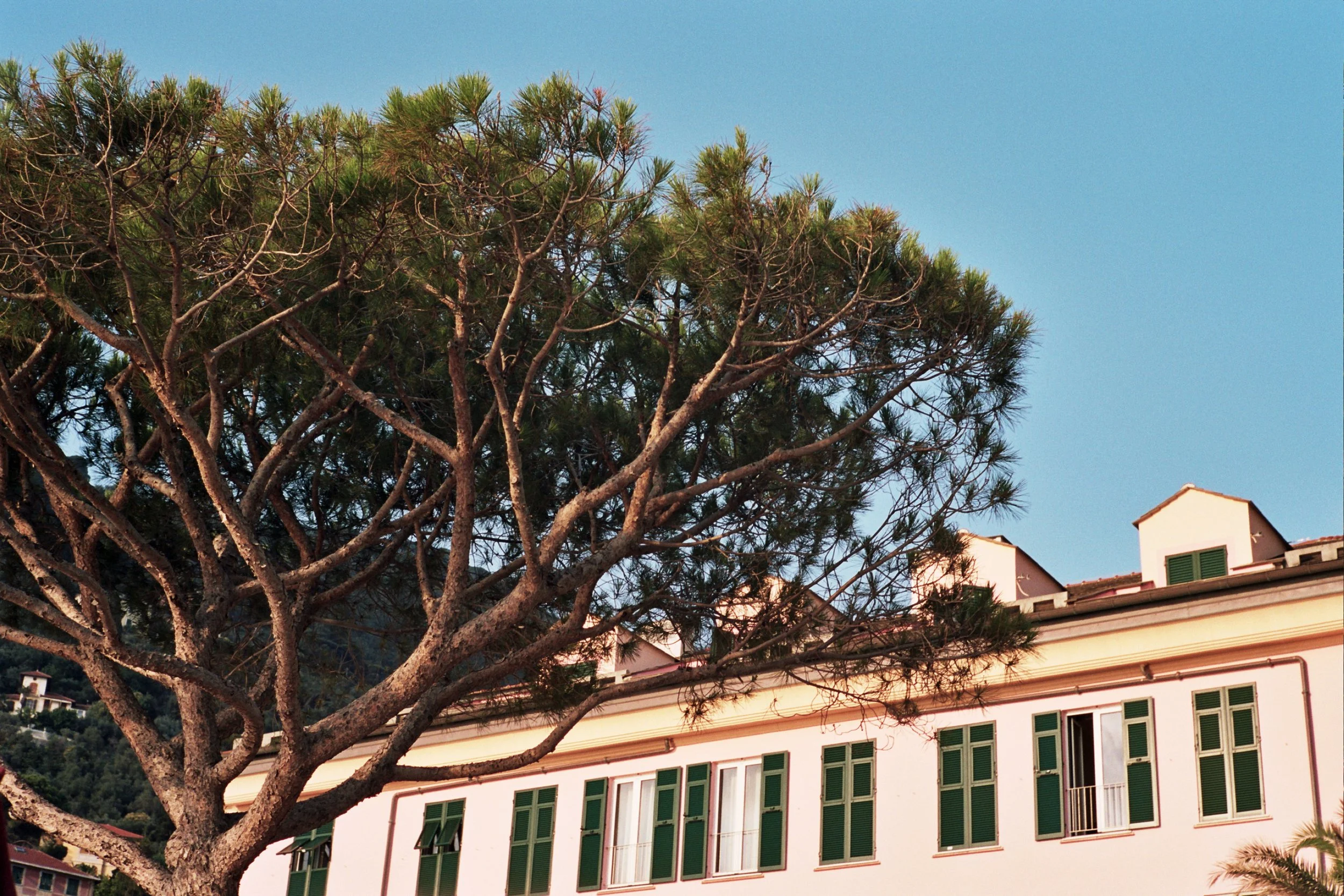Cenobio dei Dogi - Camogli, Italy - Luglio.2018 - facade II