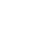 An outline of a shield symbol.