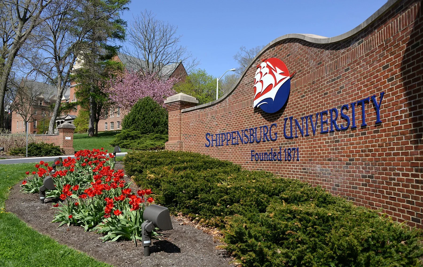 The image shows the entrance sign of Shippensburg University. The sign is made of red brick with blue lettering, with a logo featuring a white sailing ship on a red and blue background. In front of the sign, there is a landscaped area with red tulips and green bushes, and trees with pink blossoms and bare branches in the background on a clear day.