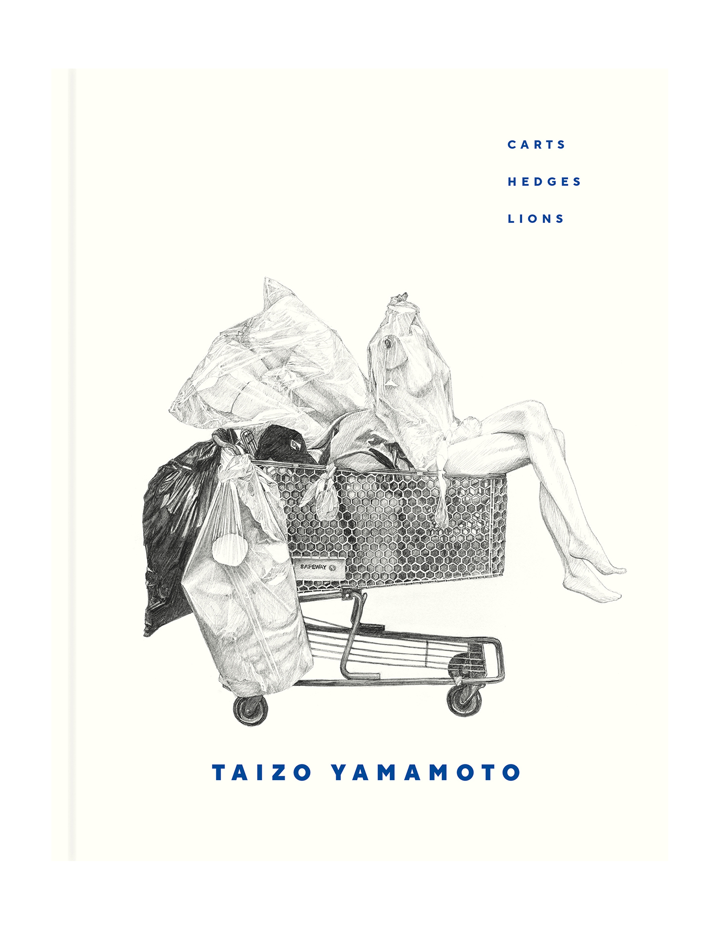 Taizo Yamamoto drawing book cover