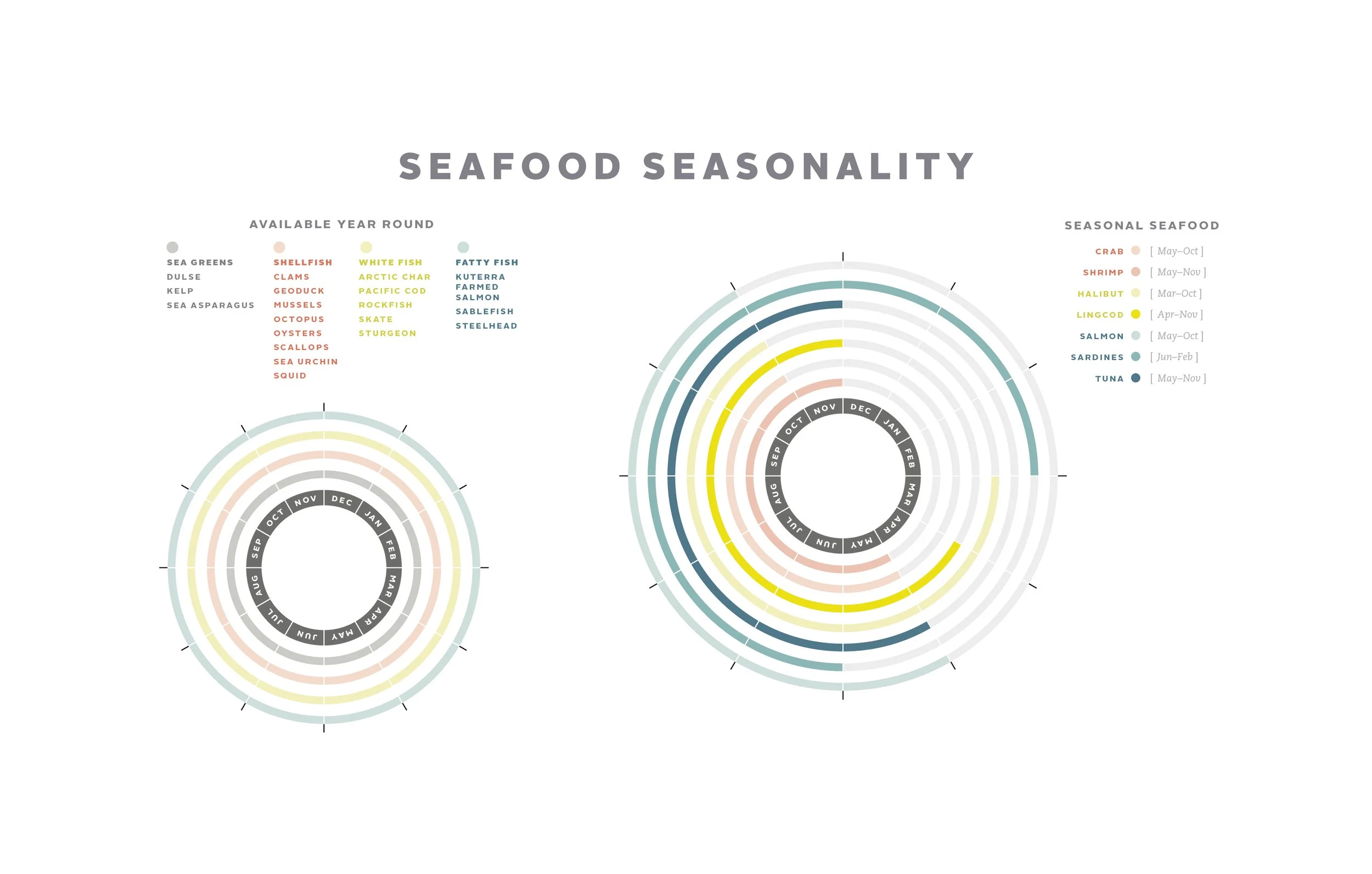 Cookbook Illustrations and Sustainability Infographics