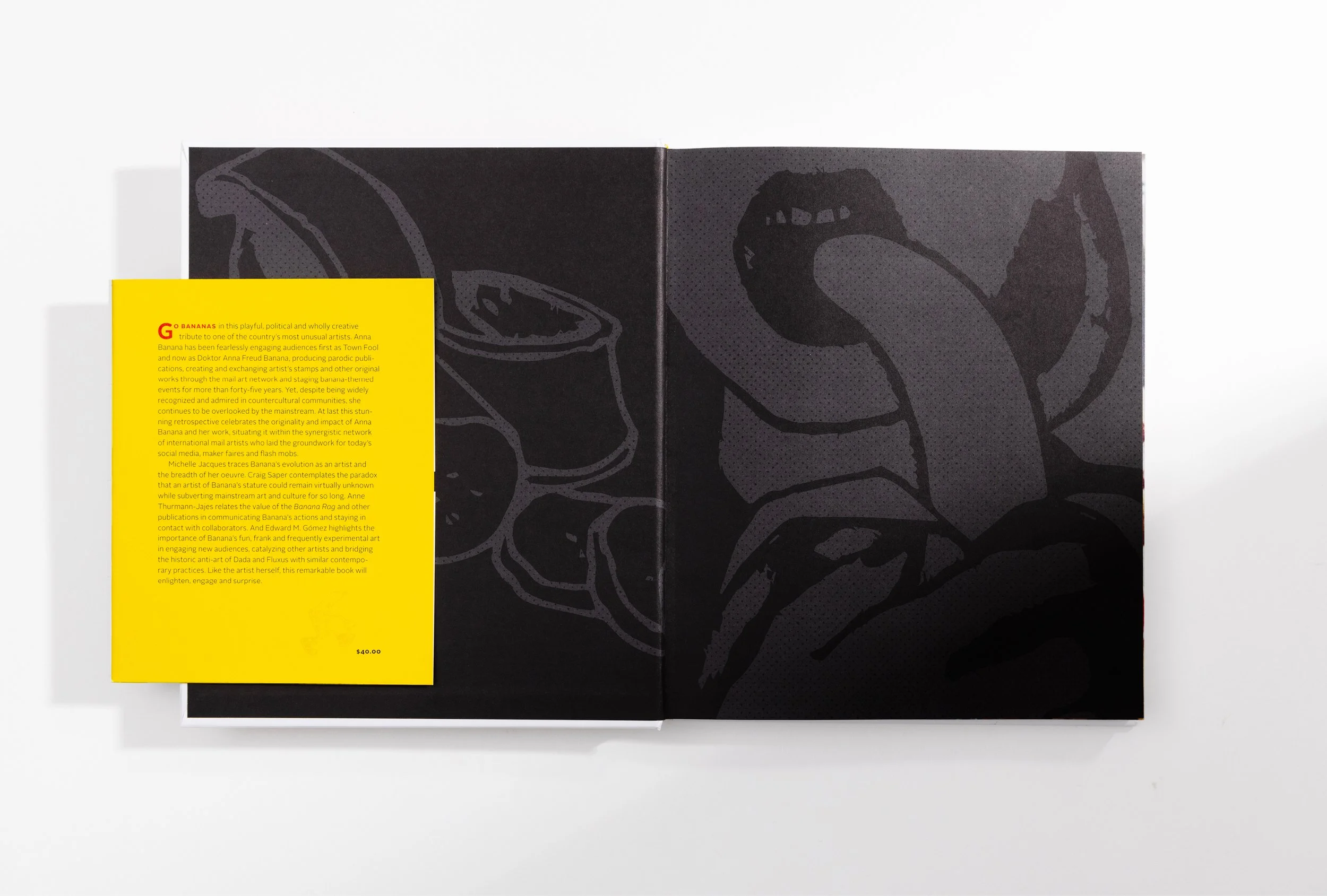 Graphic Book interior for Canadian Artist 