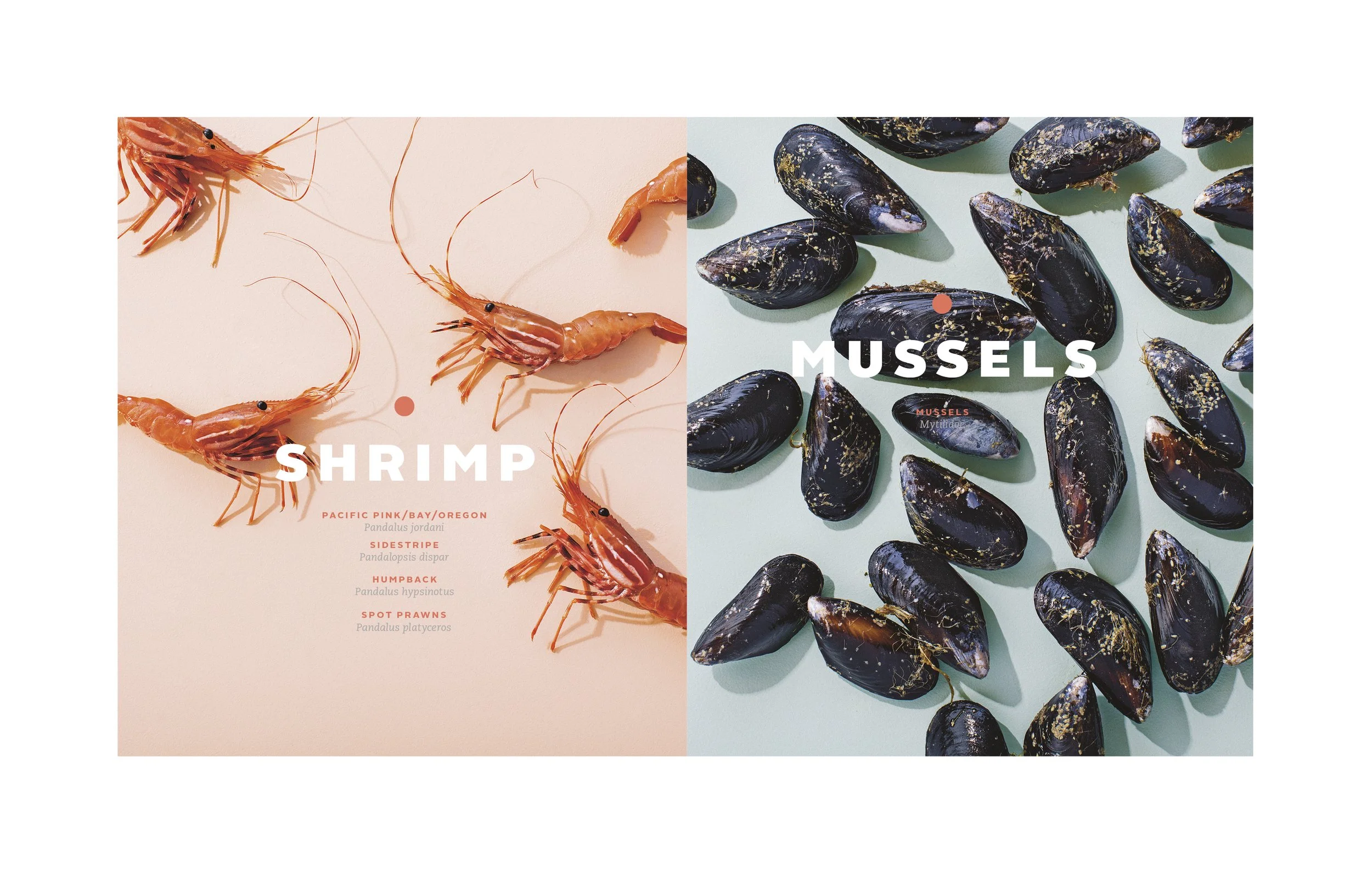 Lure Cookbook Design 