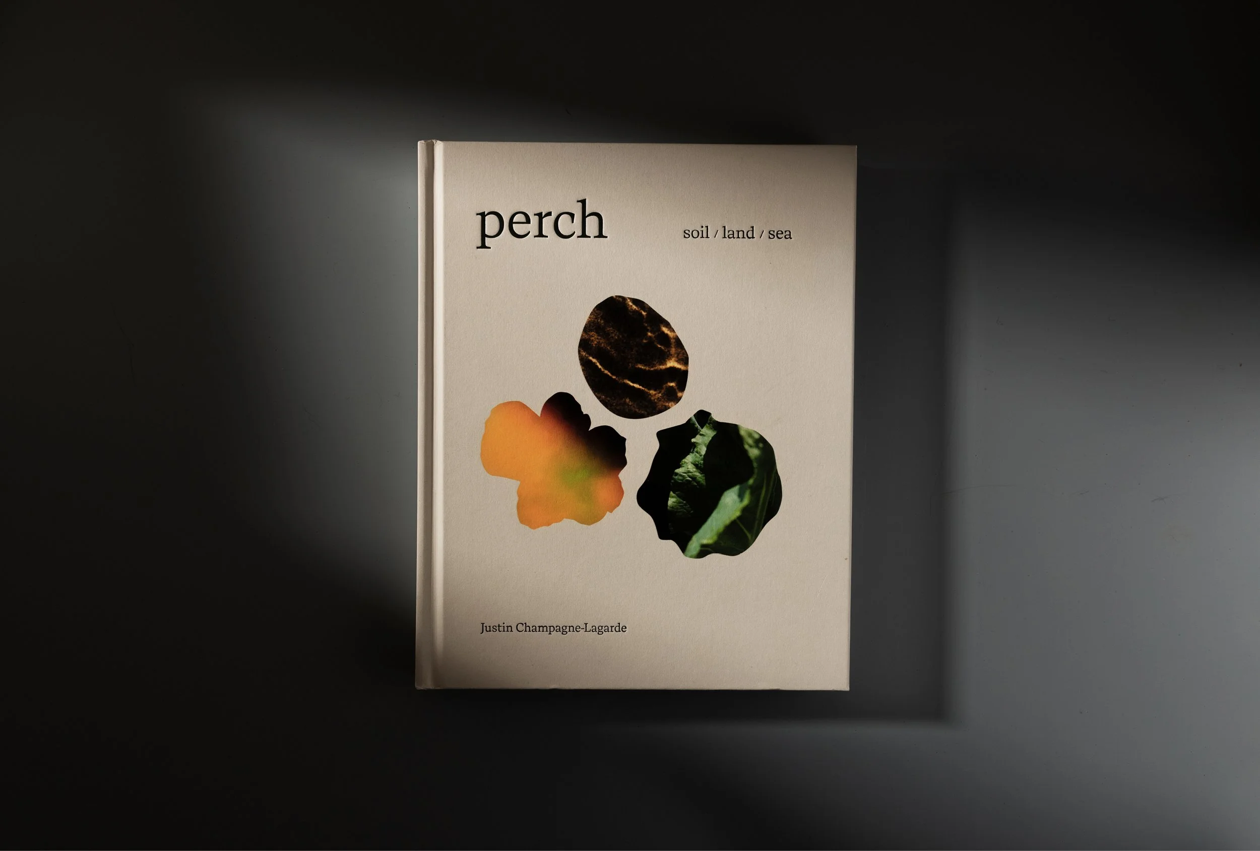 Perch cookbook cover