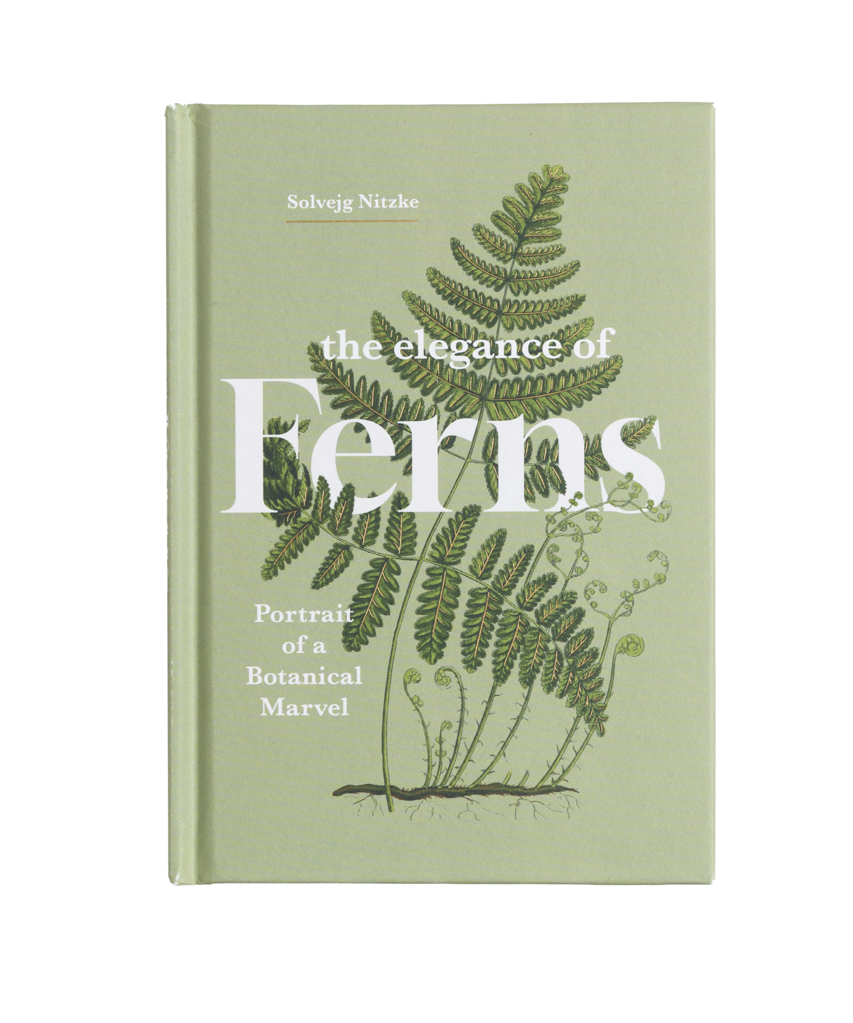 The Elegance of Ferns book cover